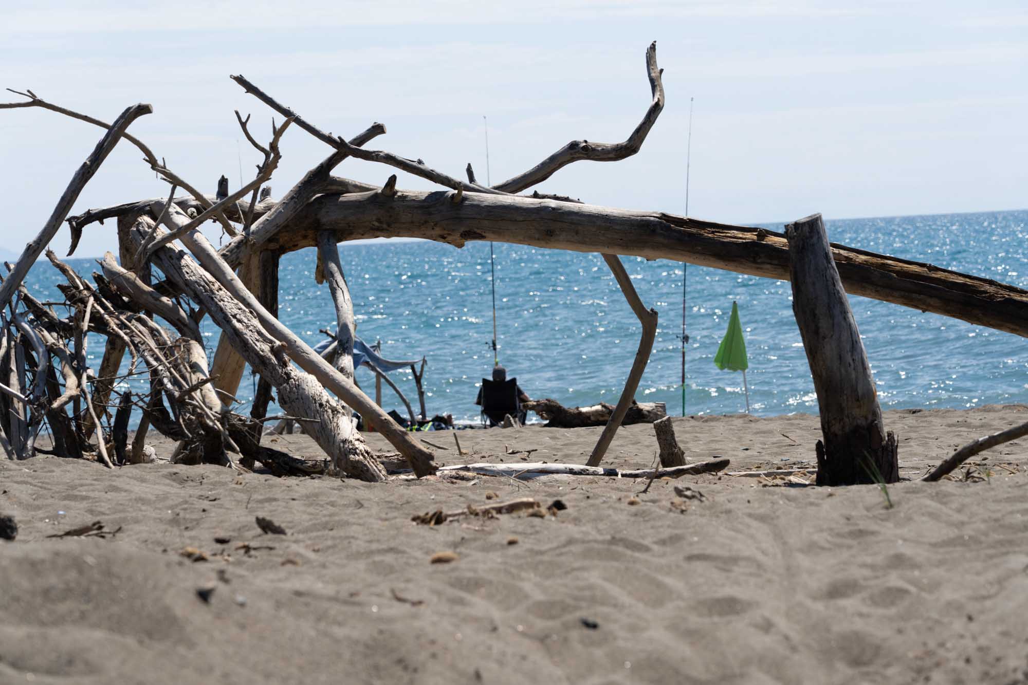 Driftwood on sandy beach with blue sea in background, fishing rods, and green flag visible.