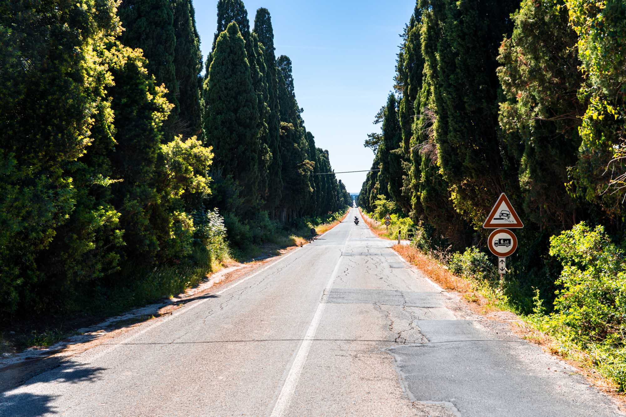 Scenic road lined with tall cypress trees, a clear blue sky, and a road sign on a sunny day.