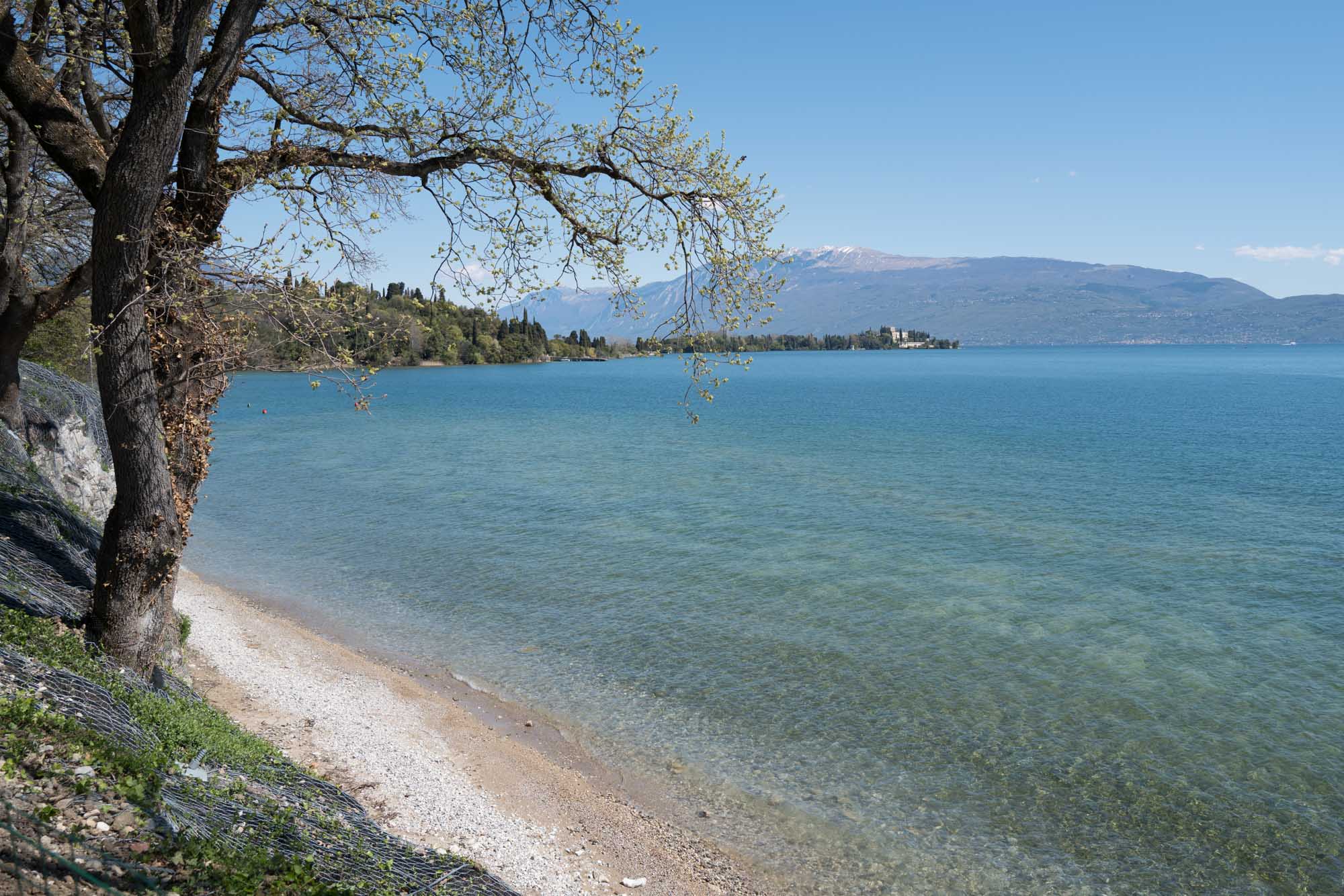 Lake with clear blue water, tree-lined shore, and distant mountains under a clear sky.