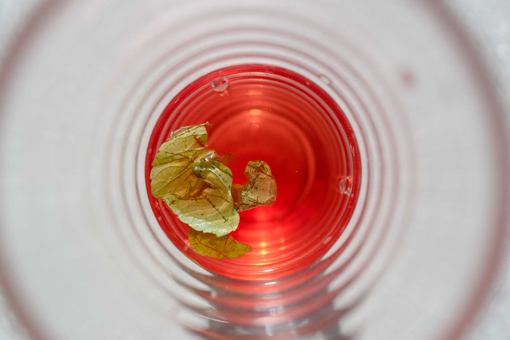 Top view of a red drink in a clear cup with mint leaves floating on the surface.