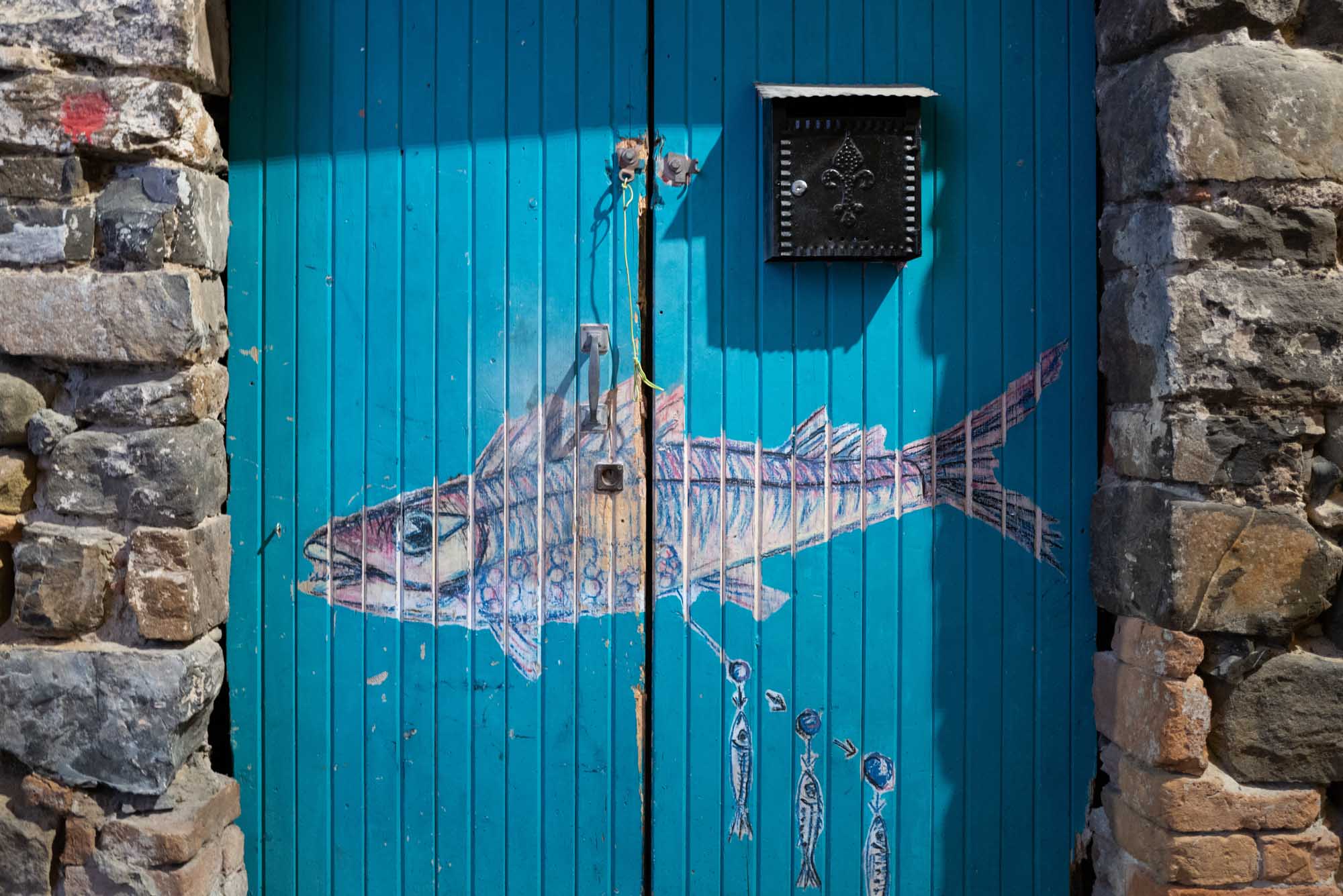 Blue wooden door with colorful fish mural, surrounded by stone walls, featuring a black mailbox with decorative design.