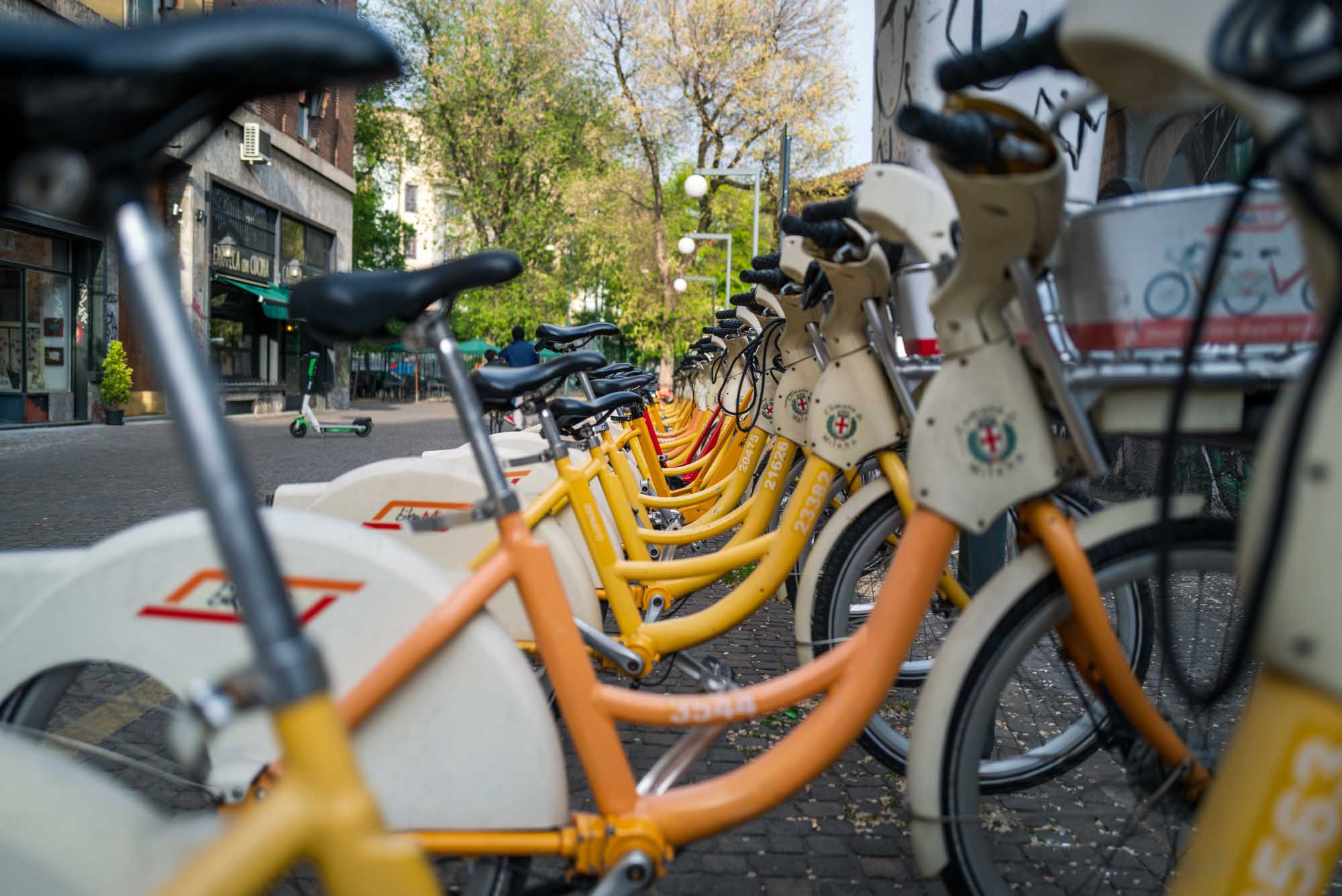 Row of yellow rental bicycles parked on a city street with trees and buildings in the background.