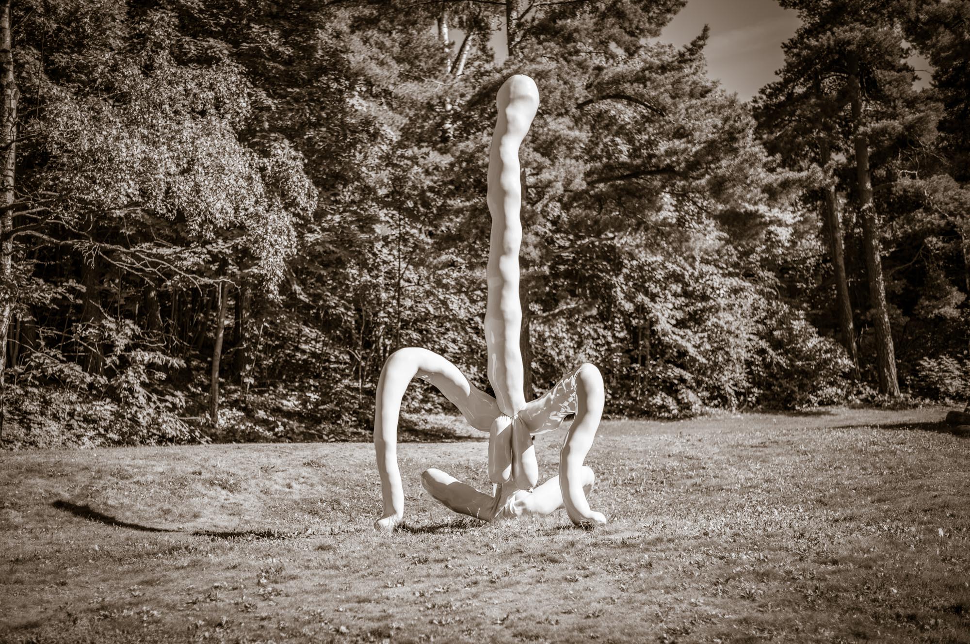 Sculpture of intertwined, elongated limbs in a grassy park setting surrounded by trees.