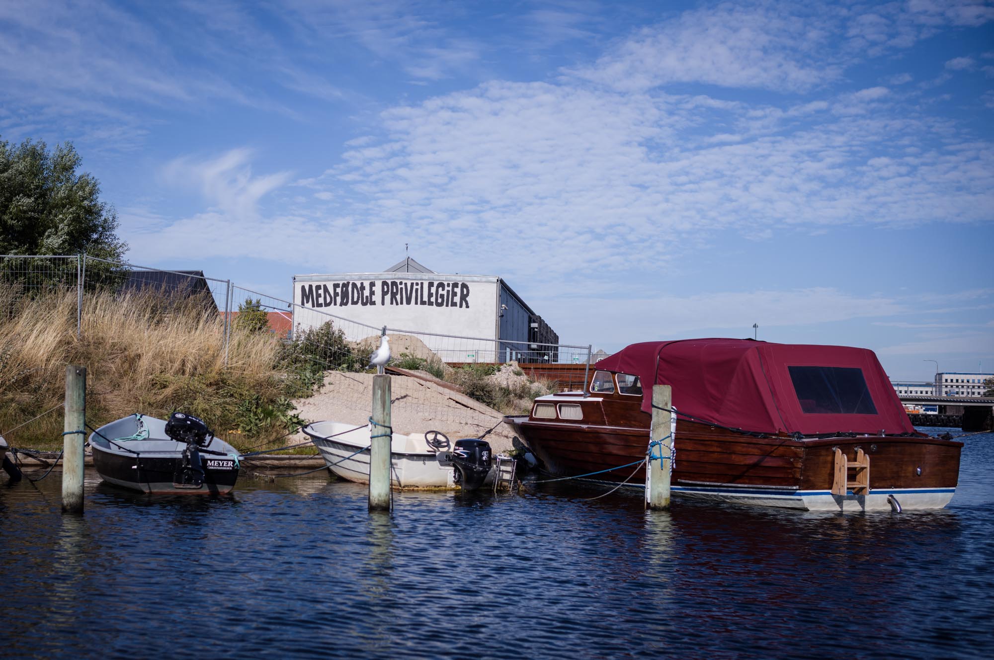 Boats moored by a grassy shore with a building displaying Medfødte Privilegier under a clear blue sky.