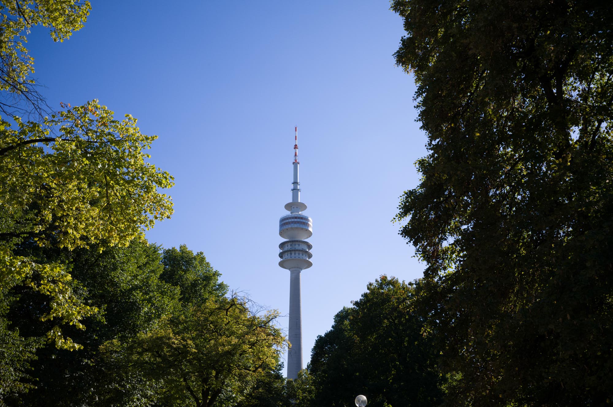 Tall communication tower surrounded by green trees against a clear blue sky.
