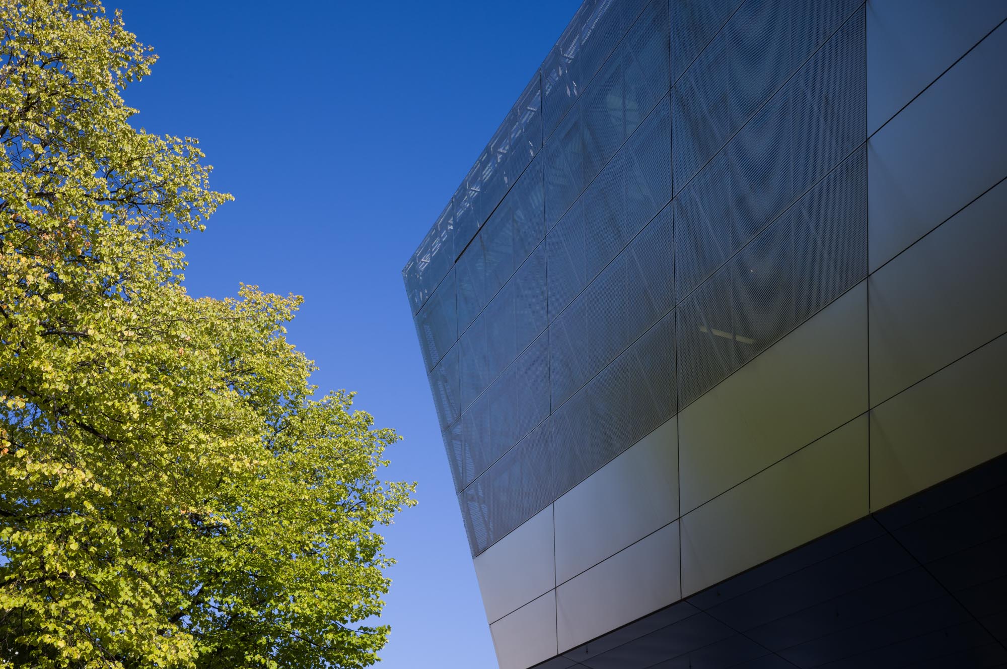 Modern building facade with glass elements against blue sky alongside lush green tree.