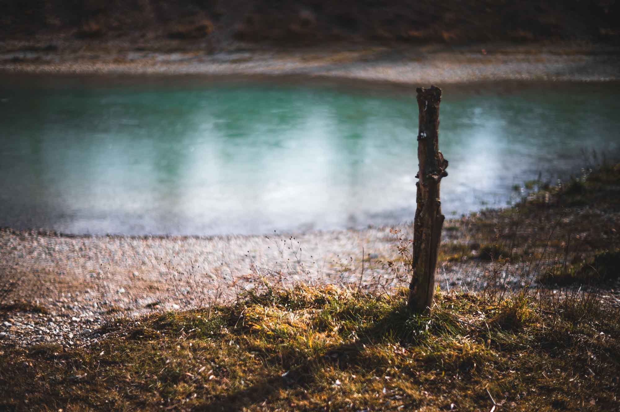 Lonely tree stump by a serene, turquoise pond surrounded by grassy shoreline in early spring.