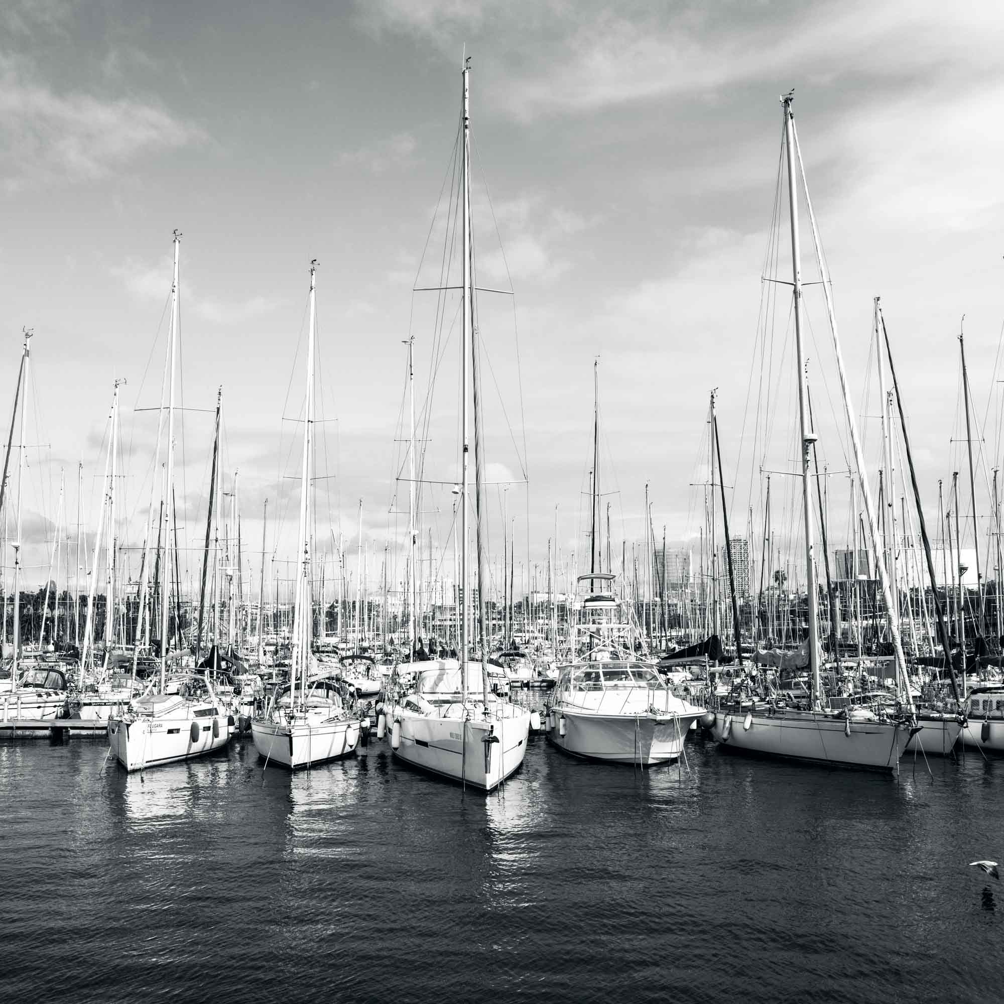 Black and white photo of a marina with numerous sailboats moored under a cloudy sky.