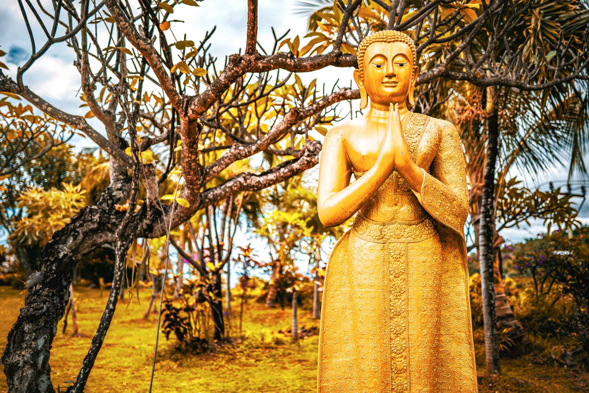 Golden Buddha statue in a lush garden, surrounded by trees and vibrant foliage.