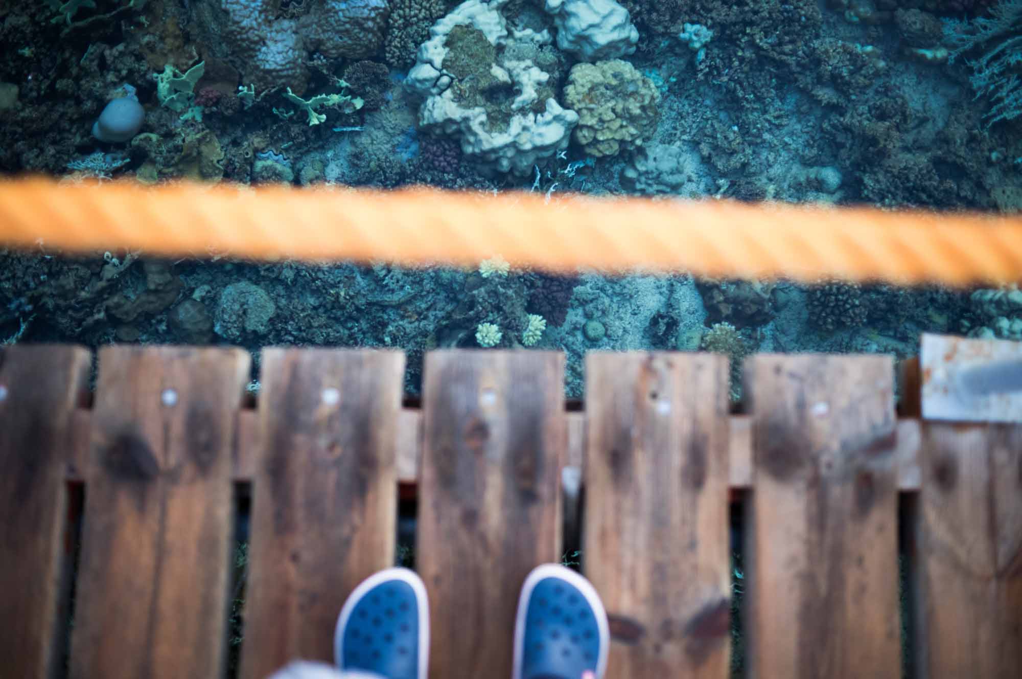 Person standing on wooden bridge over coral reef, with blue shoes visible, looking into clear ocean water.
