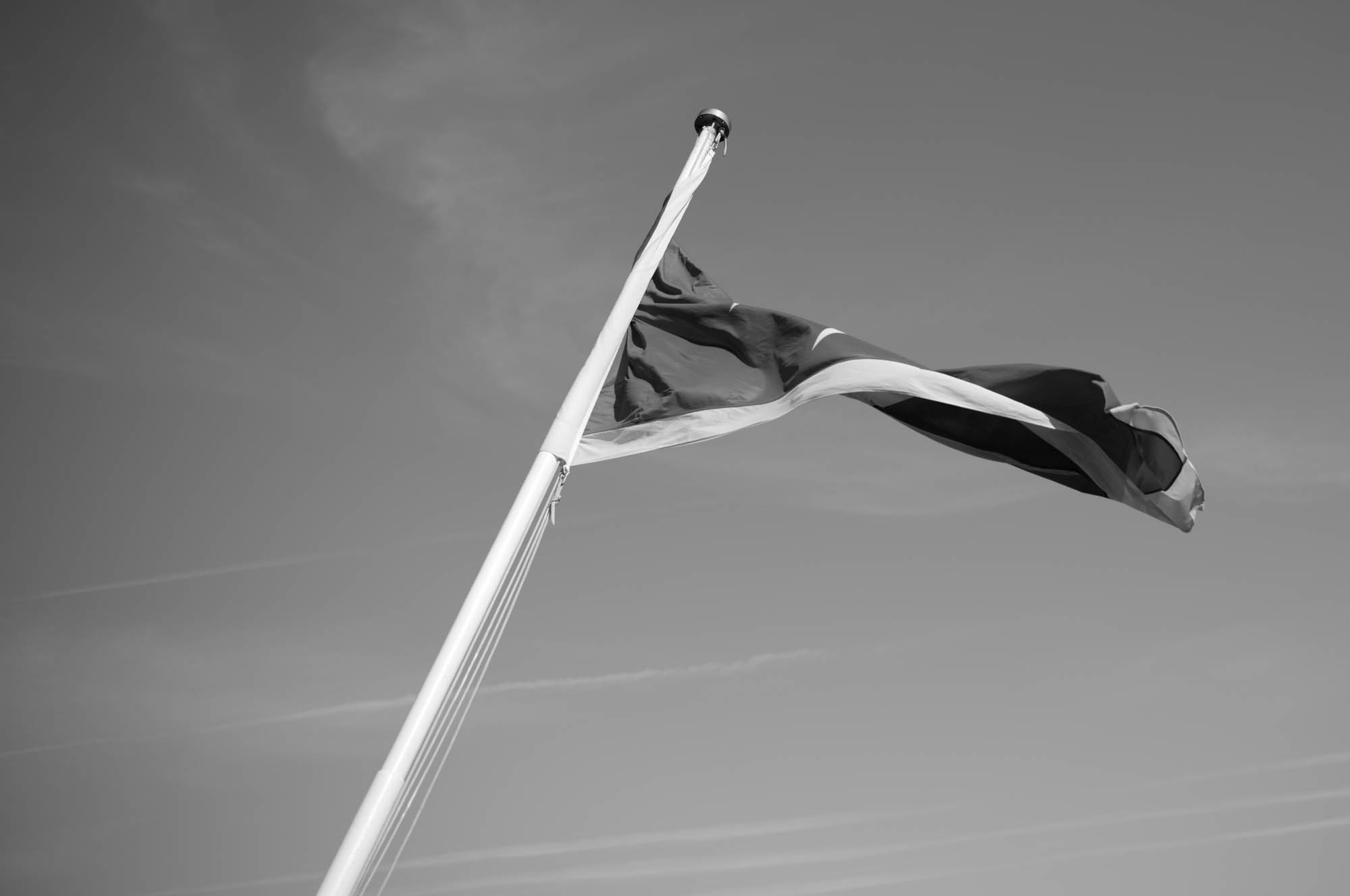 Black and white photo of a flag waving on a pole against a cloudy sky.