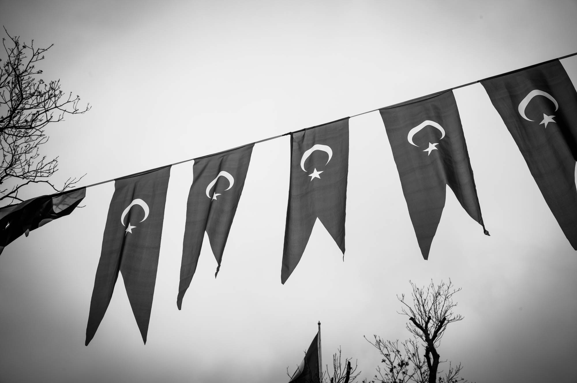 Monochrome photo of Turkish flags hanging on a line, with bare tree branches in the background.