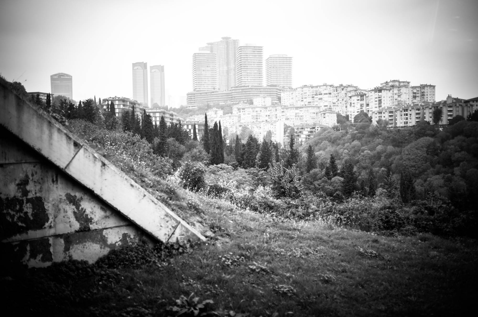 Black and white cityscape with modern high-rises and lush greenery in the foreground, emphasizing urban nature balance.