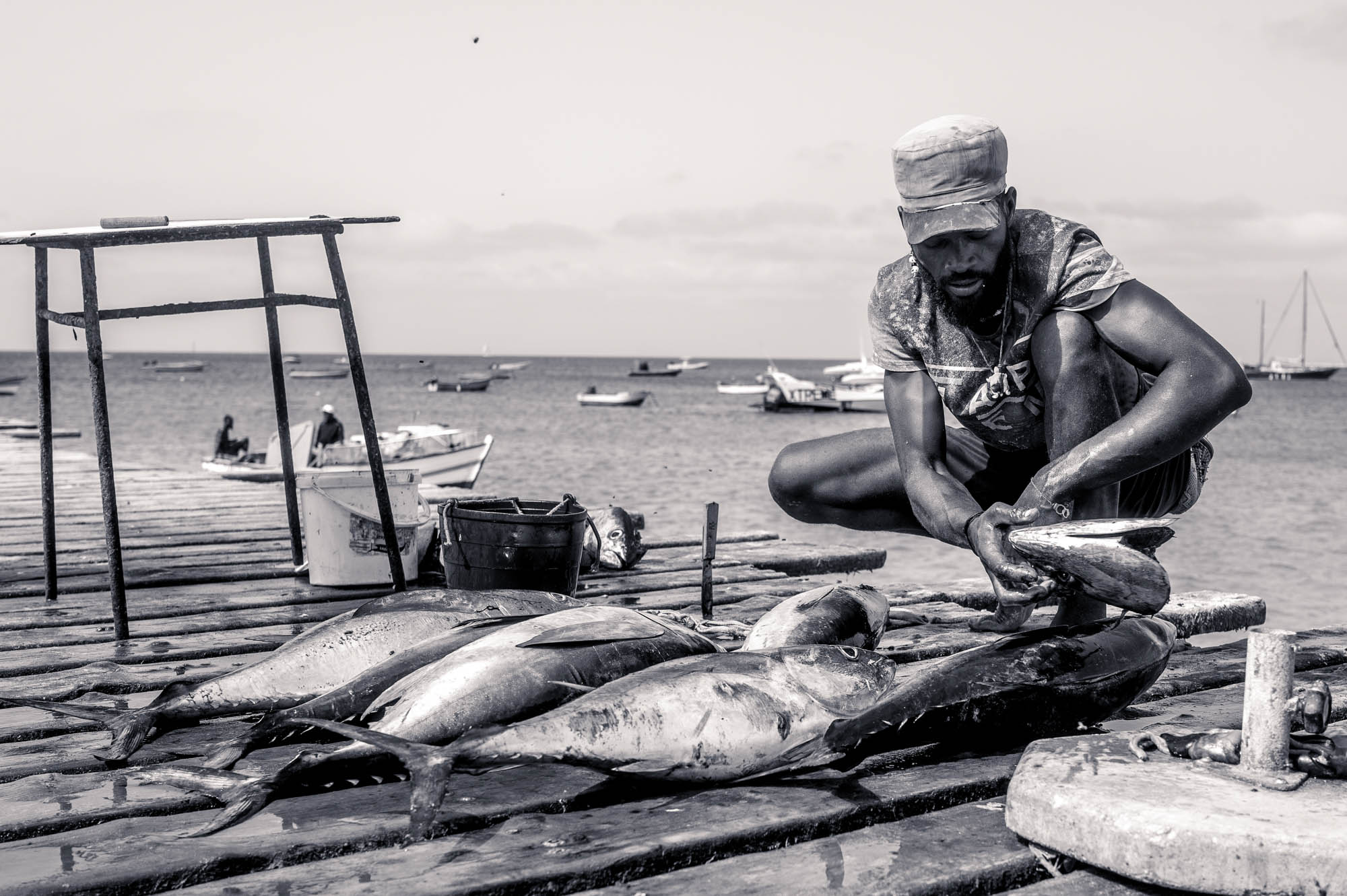Fisherman cleaning fresh catch at the pier with boats in the background. Black and white image.