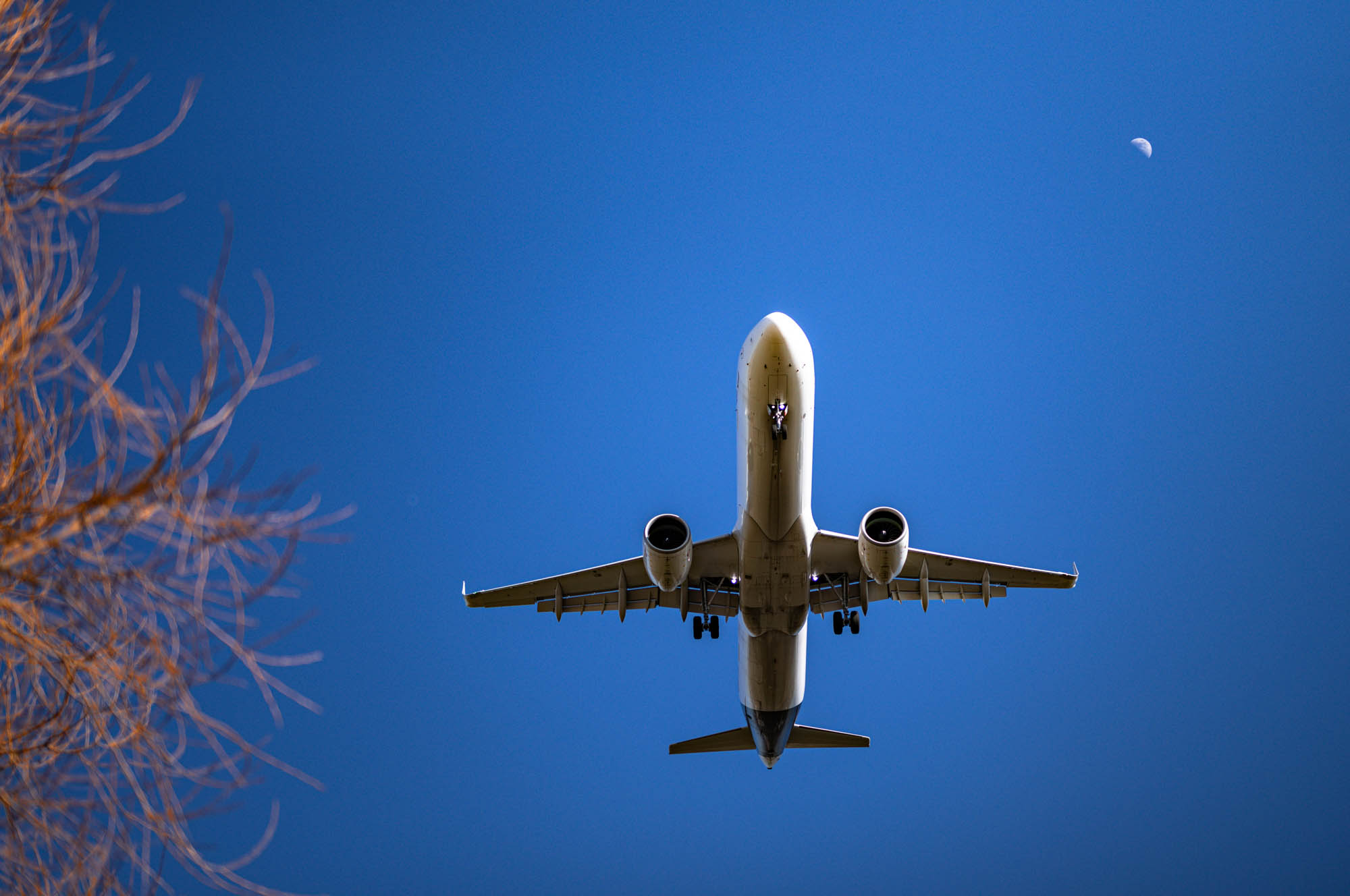 Airplane flying overhead against a clear blue sky with a visible moon and tree branches.