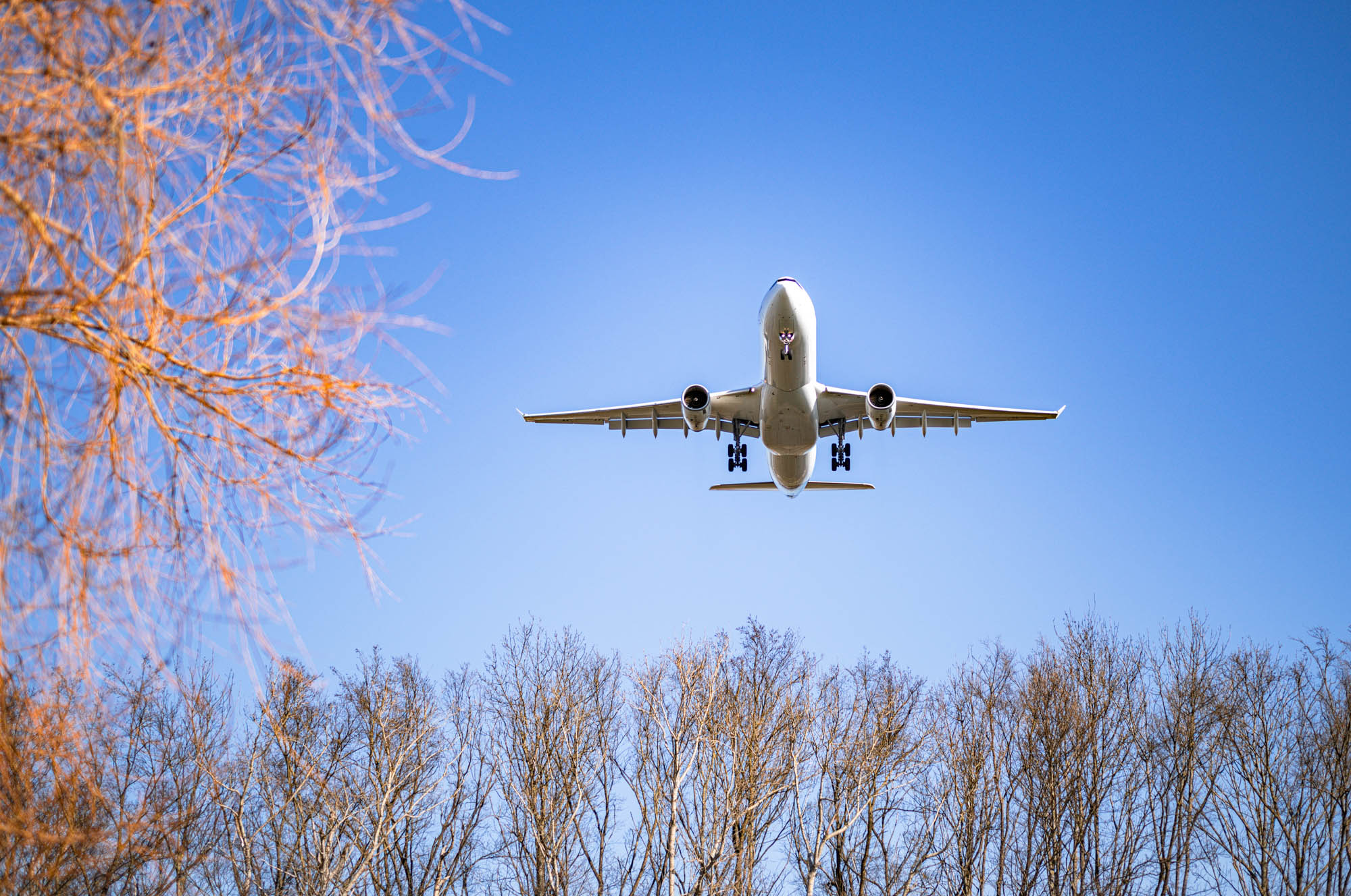 Airplane flying low over leafless trees against a clear blue sky, highlighting travel and aviation themes.