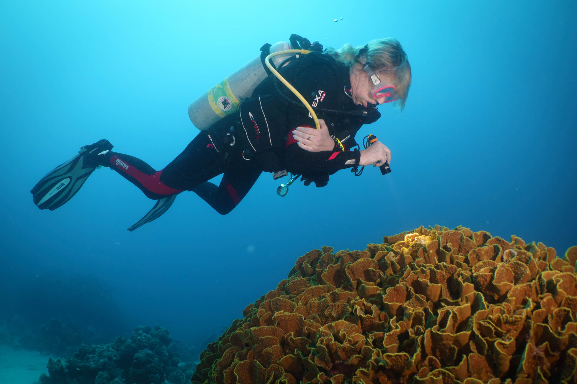 Scuba diver exploring vibrant coral reef underwater.