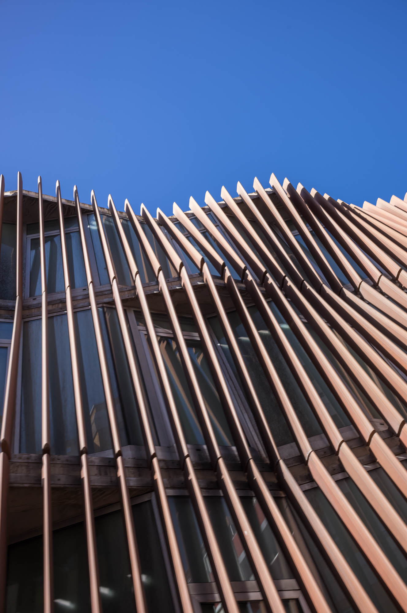 Modern architectural facade with sleek, vertical wooden slats against a clear blue sky.