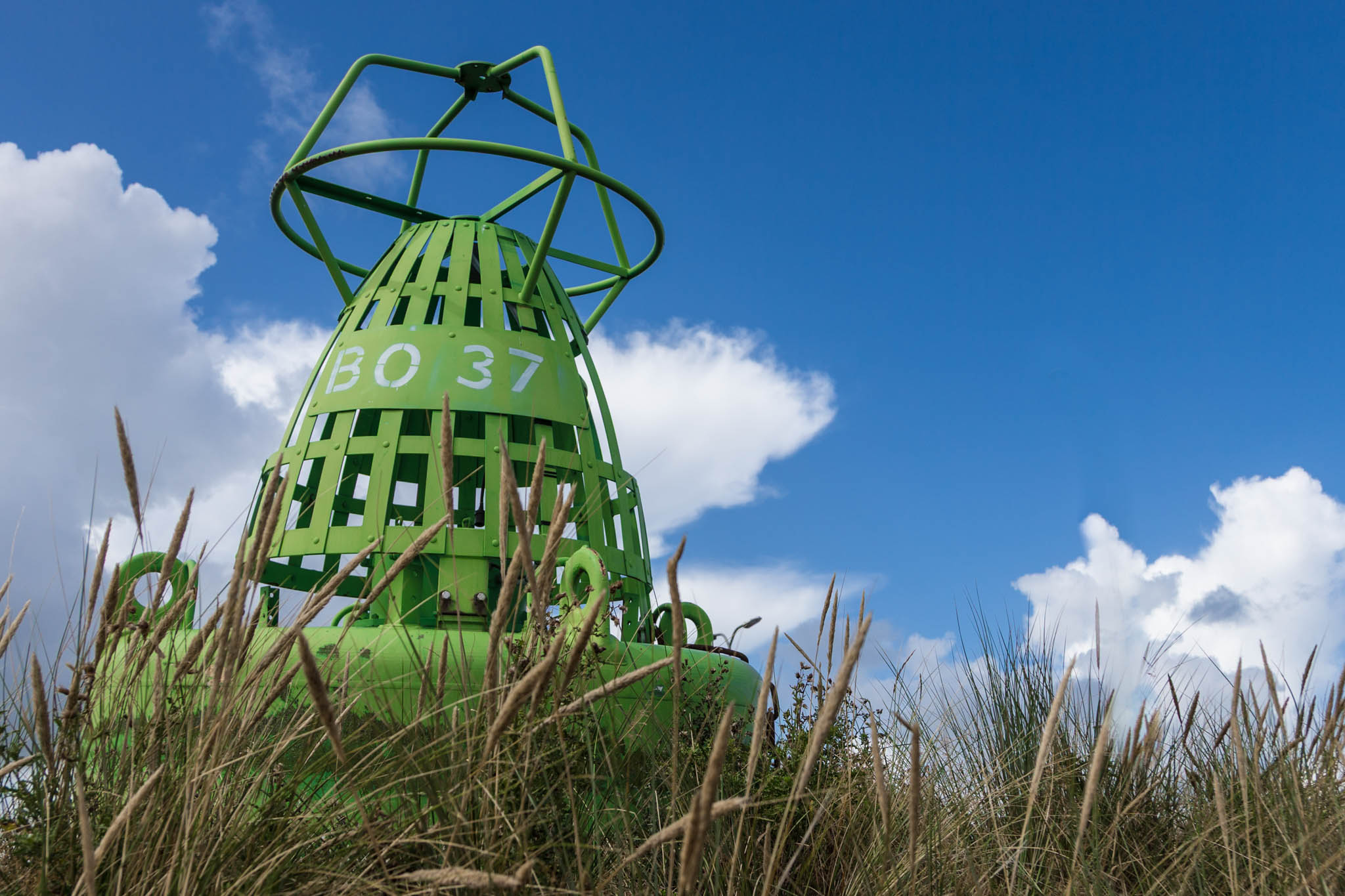 Green buoy marked BO 37 against blue sky and clouds, surrounded by tall grass.