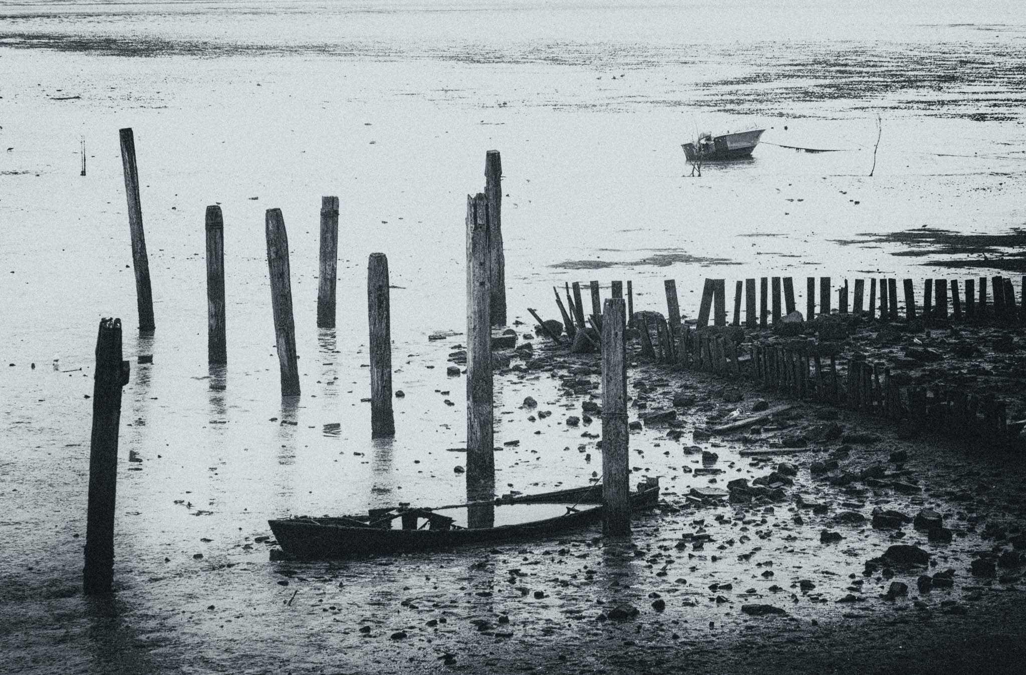 Abandoned boat and wooden posts in a tidal landscape at low tide, creating a serene, rustic scene.