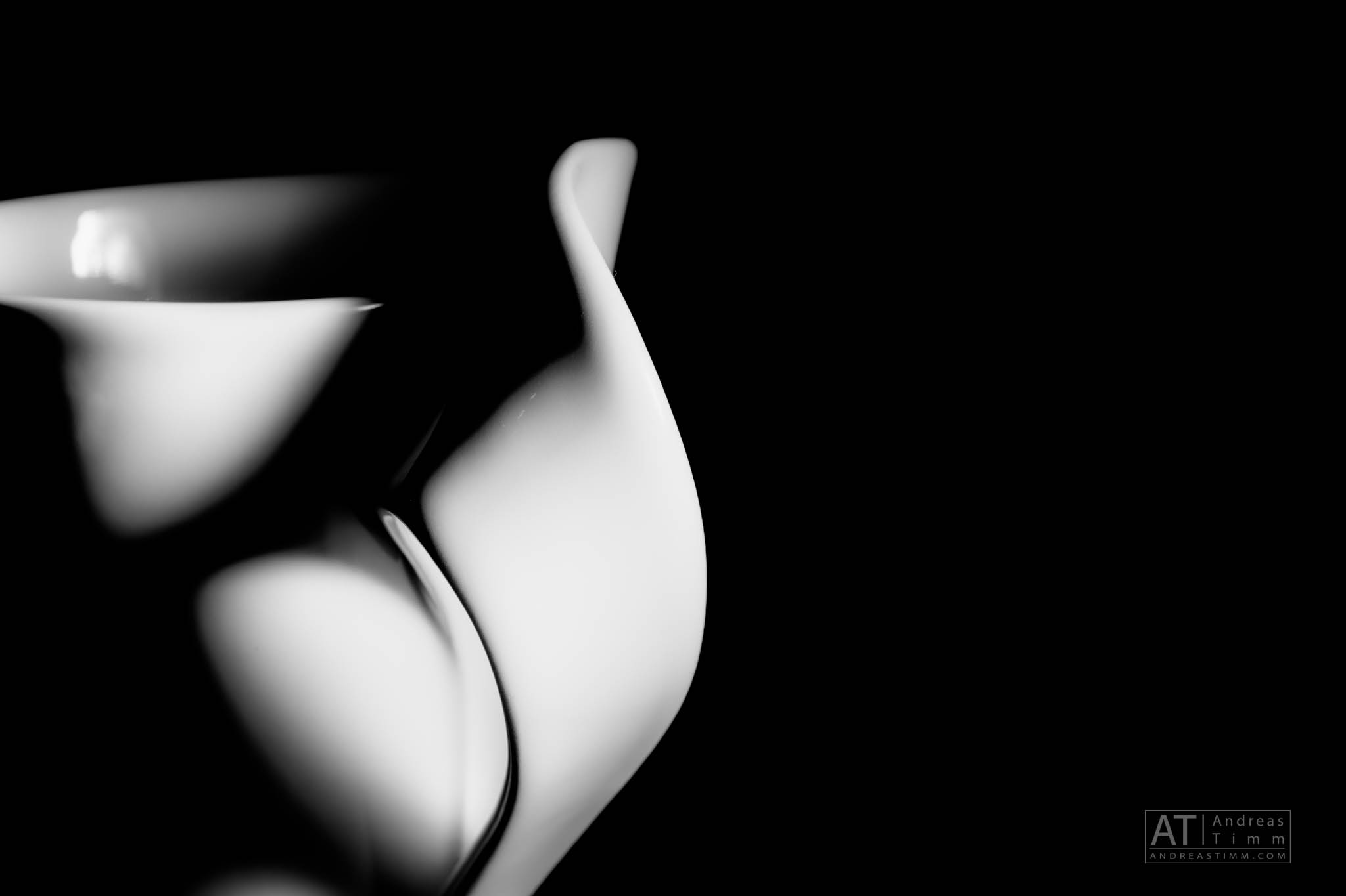 Abstract black and white image with smooth, flowing curves and contrasting shadows.