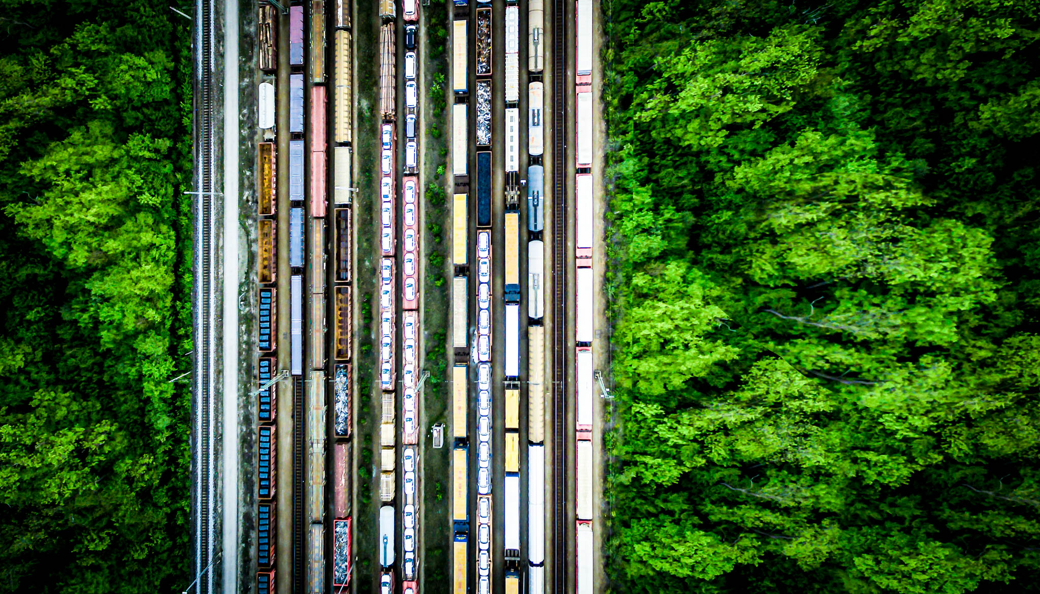 Aerial view of stationary trains surrounded by dense green forest, showcasing rail transport and natural landscape contrast.