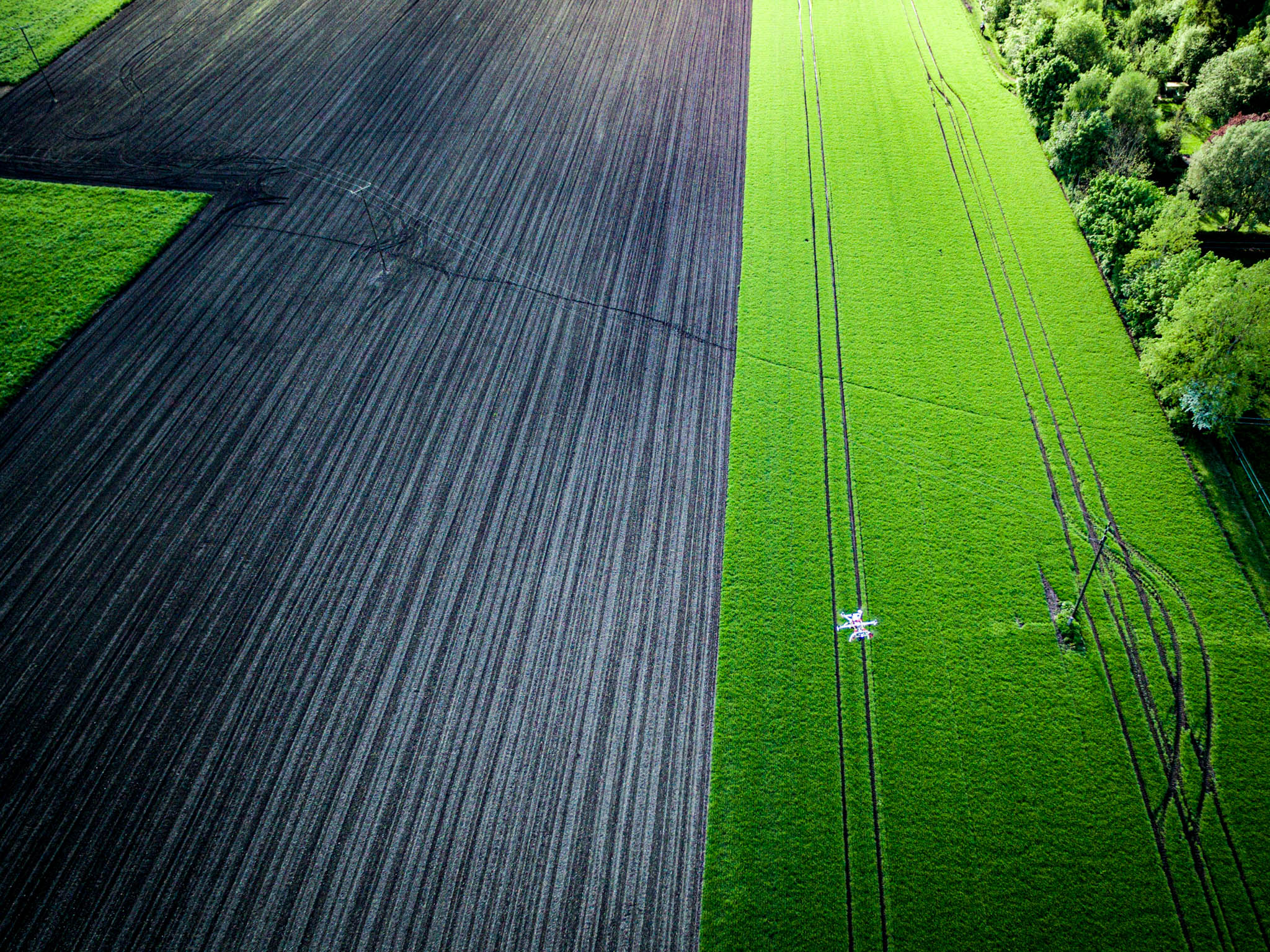 Aerial view of a green and brown field divided by a straight border, with tracks and scattered trees on the right side.