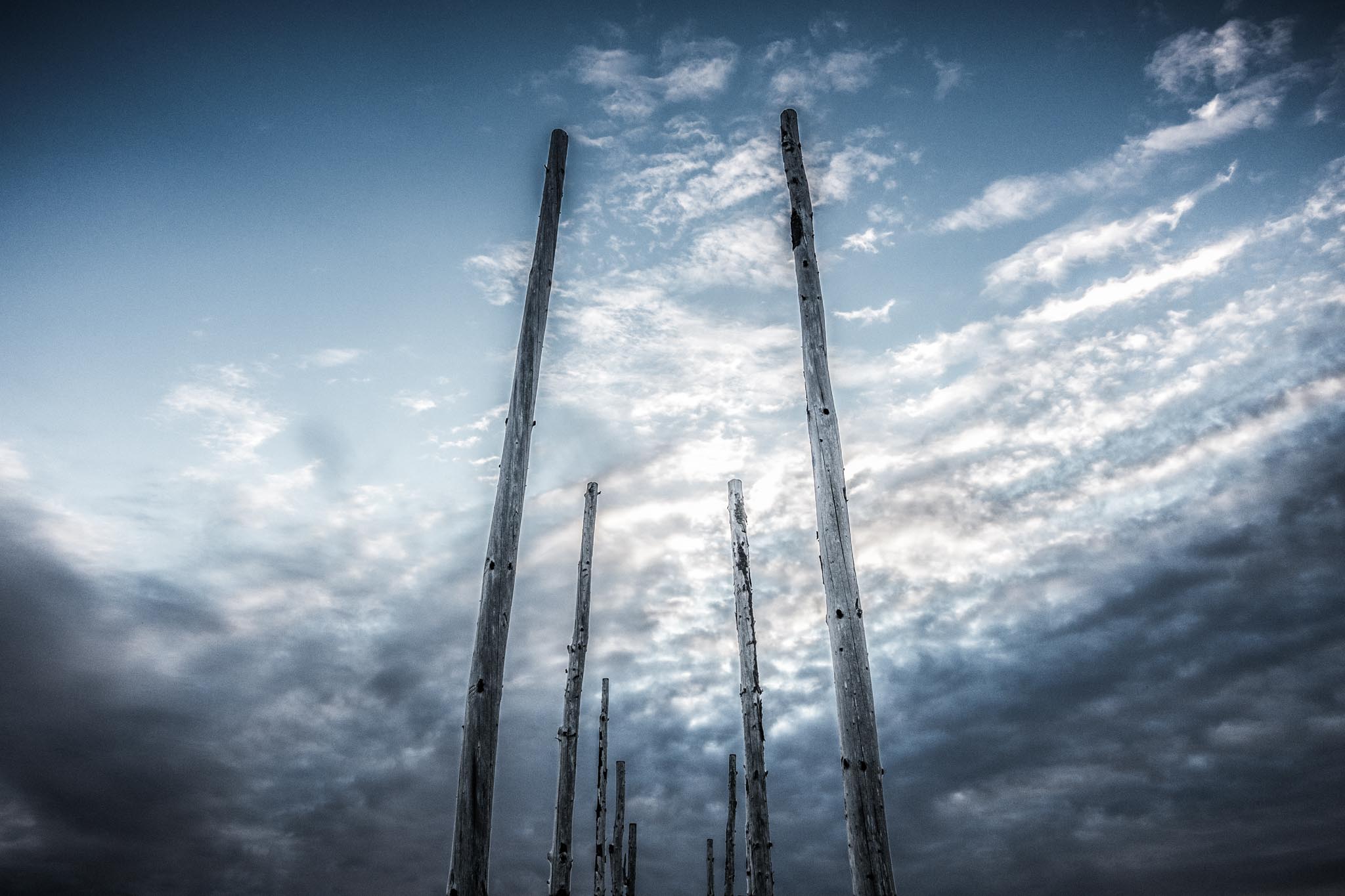 Tall wooden poles against a dramatic cloudy sky, creating a striking silhouette at dusk.