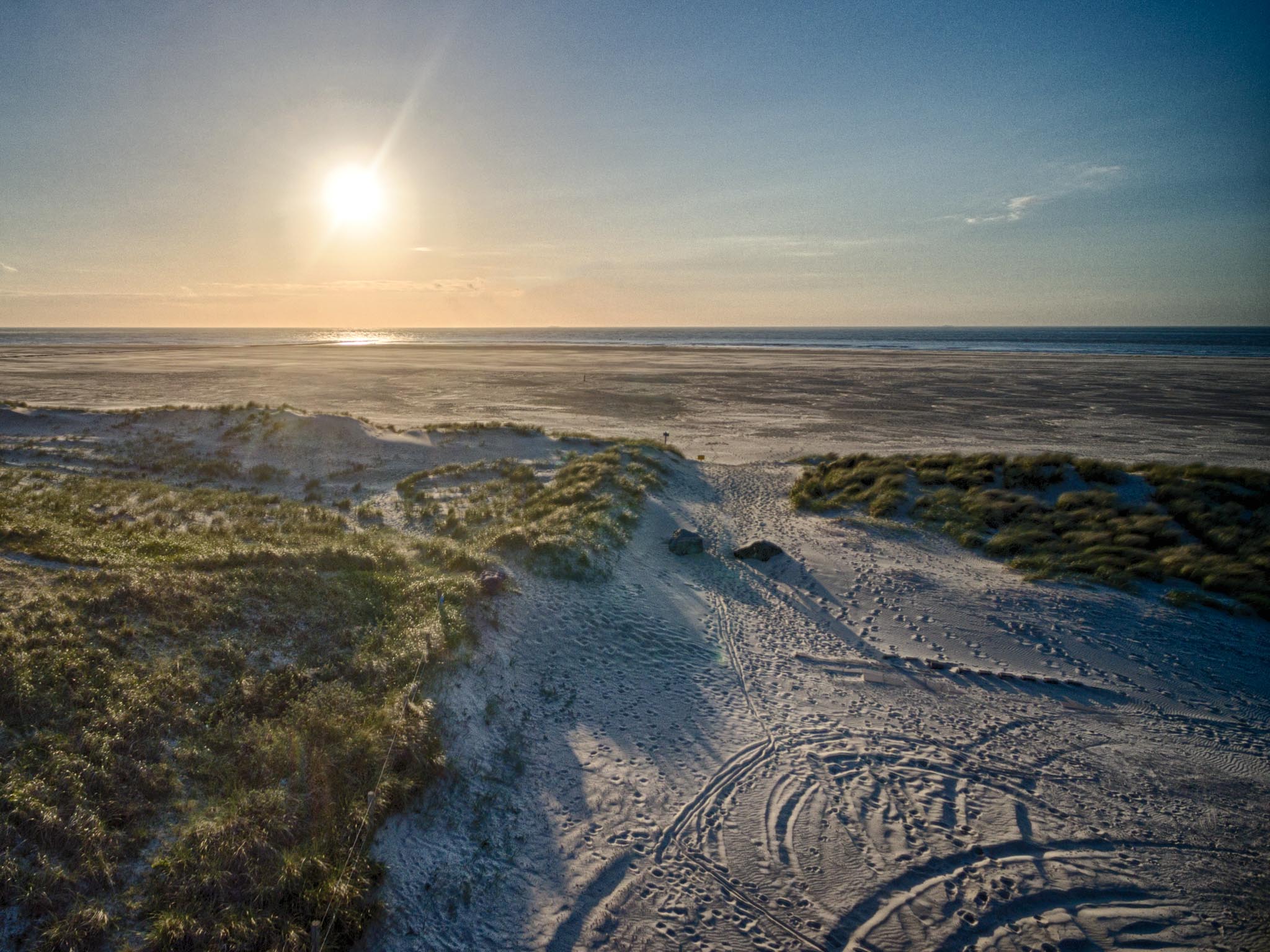 Sunny beachscape with sandy dunes, grass, tire tracks, and ocean horizon under a clear sky.