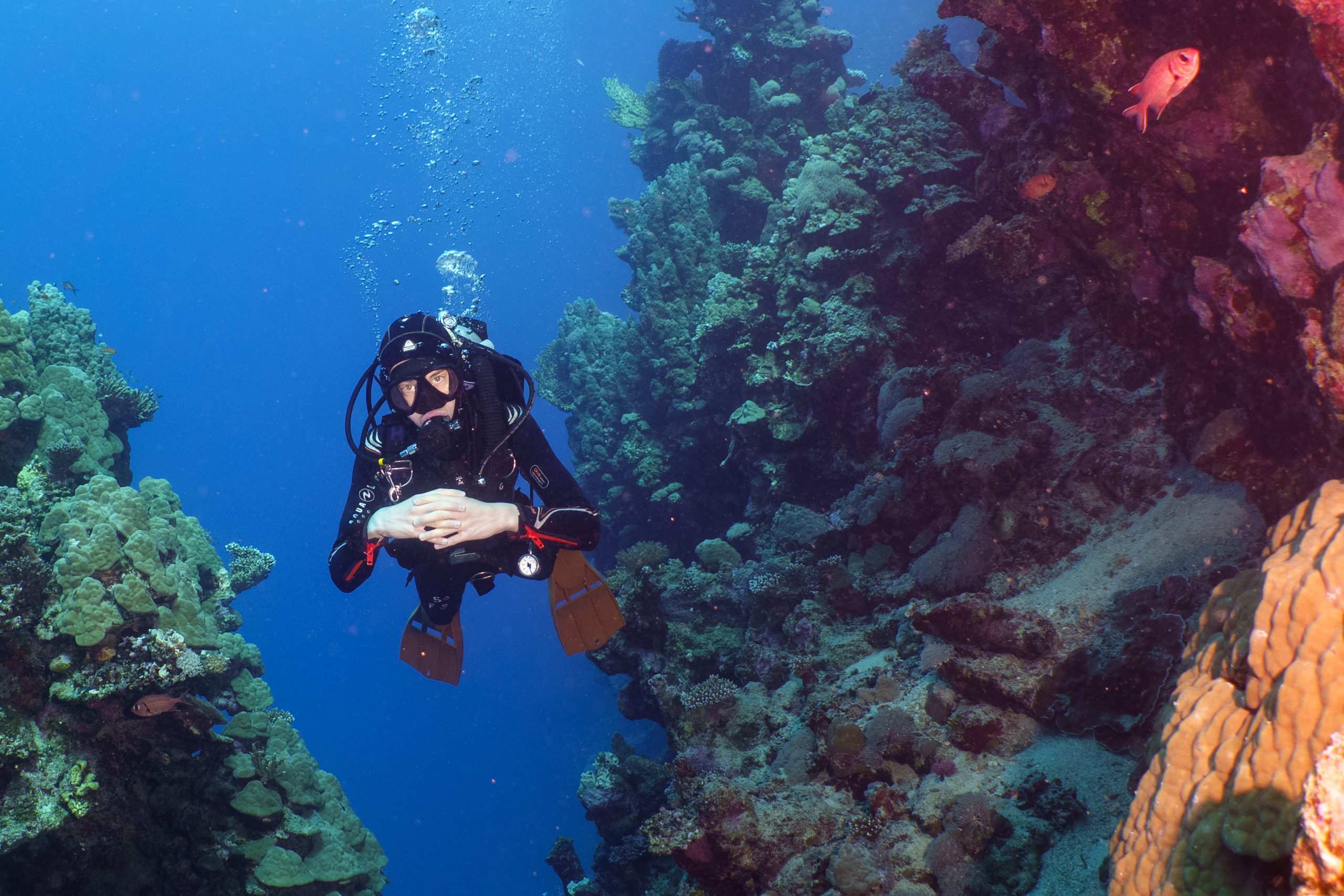 Scuba diver exploring colorful coral reef in clear blue water, surrounded by marine life.