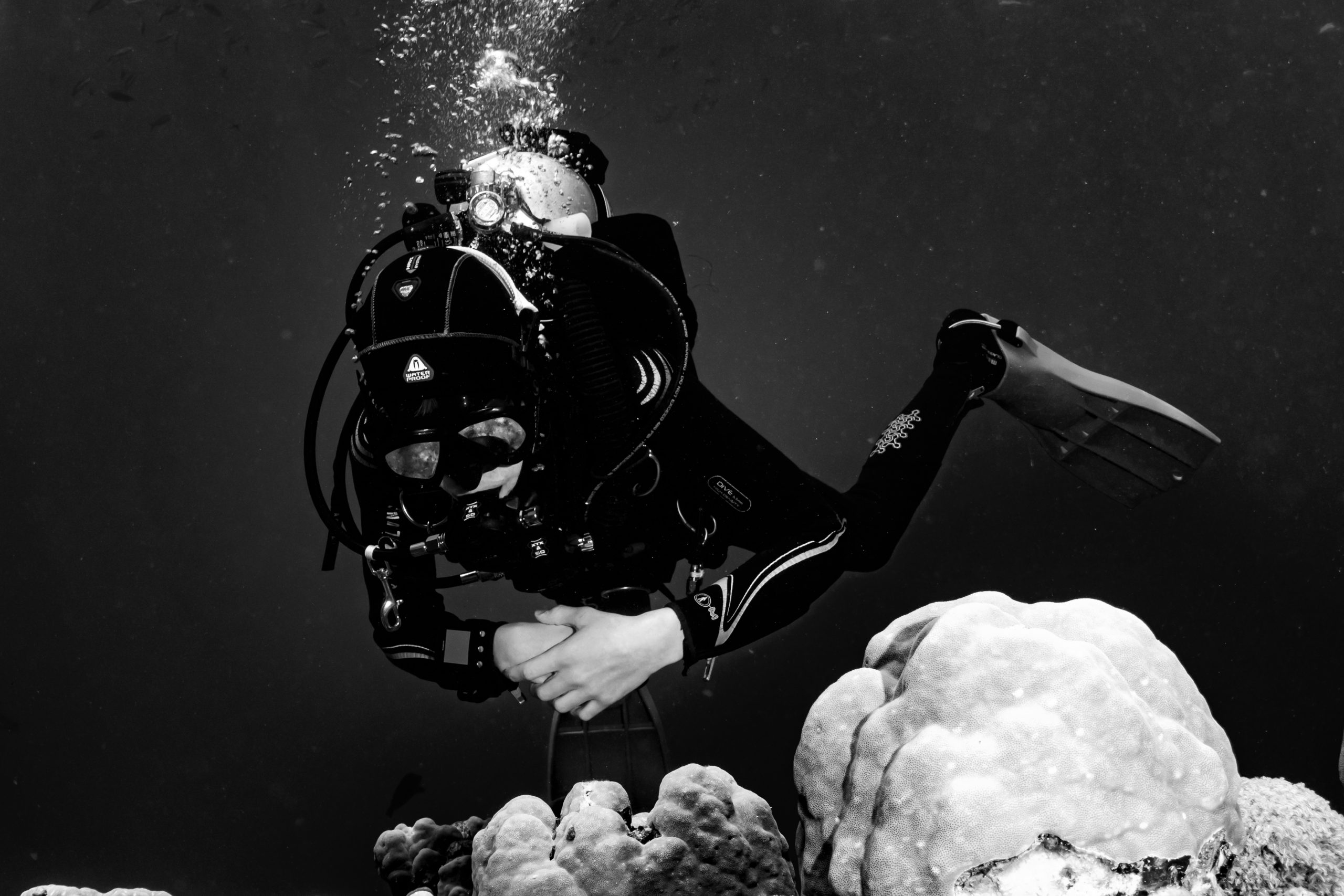 Scuba diver in full gear explores coral reef underwater, surrounded by bubbles and fish. Black and white image.