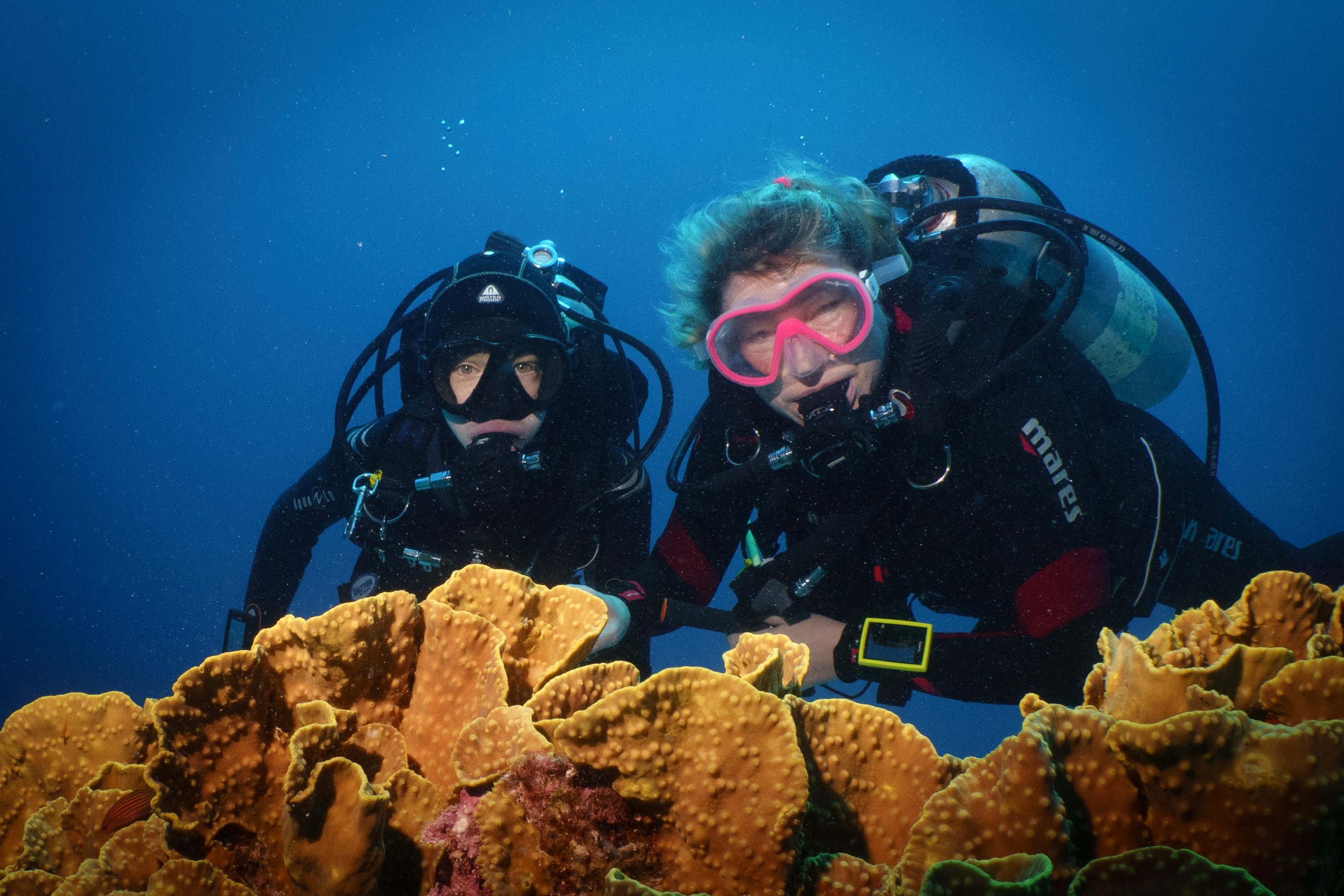 Two scuba divers exploring vibrant coral reef underwater.
