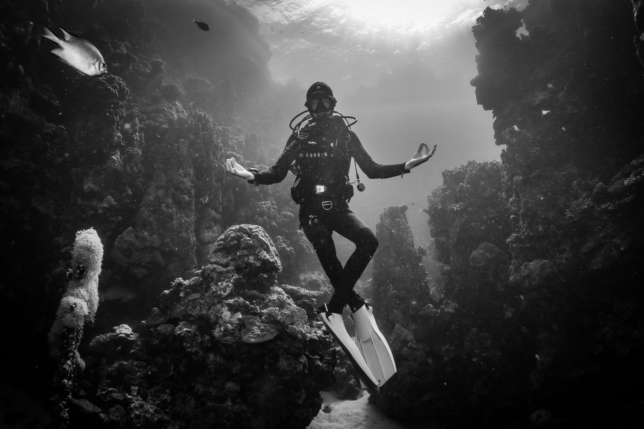 Scuba diver meditates underwater surrounded by coral reef, wearing full gear with fins, illuminated by sunlight.