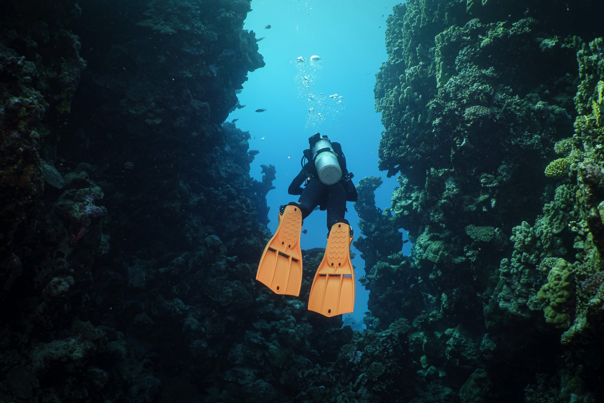 Scuba diver with orange fins exploring a vibrant coral reef canyon underwater.