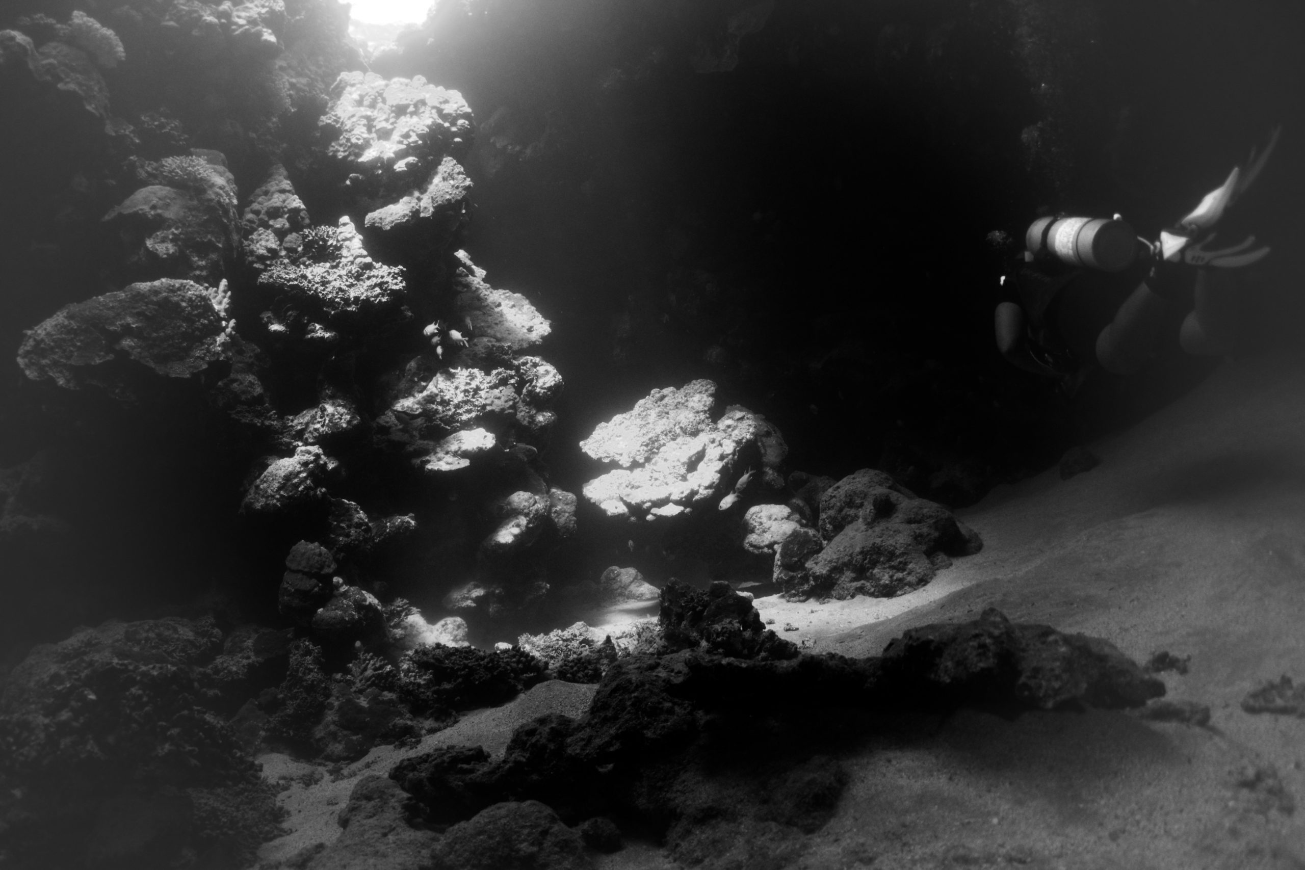 Scuba diver exploring underwater rocky reef illuminated by sunlight.