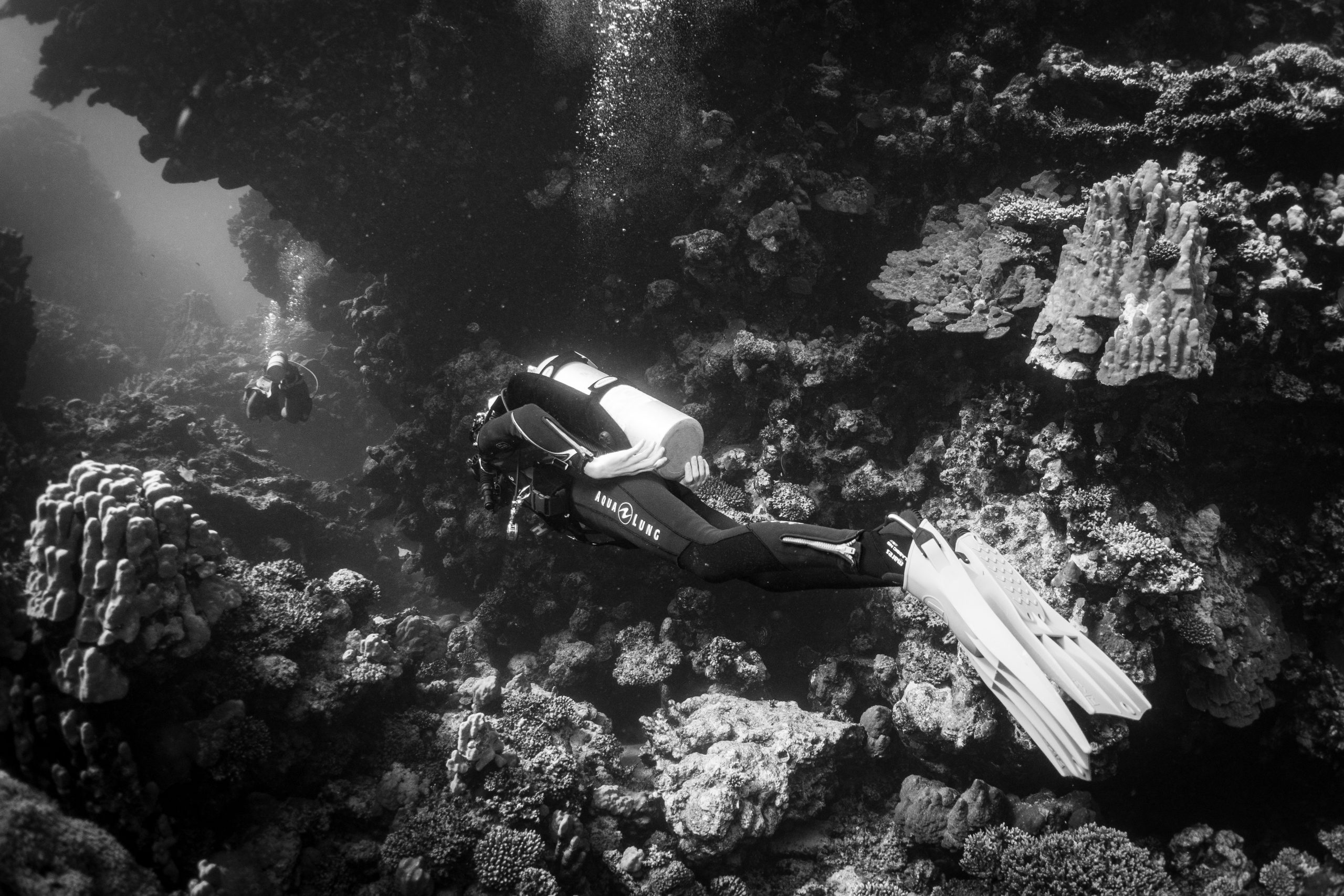 Scuba diver exploring a vibrant coral reef underwater, surrounded by marine life and shadows, in black and white.
