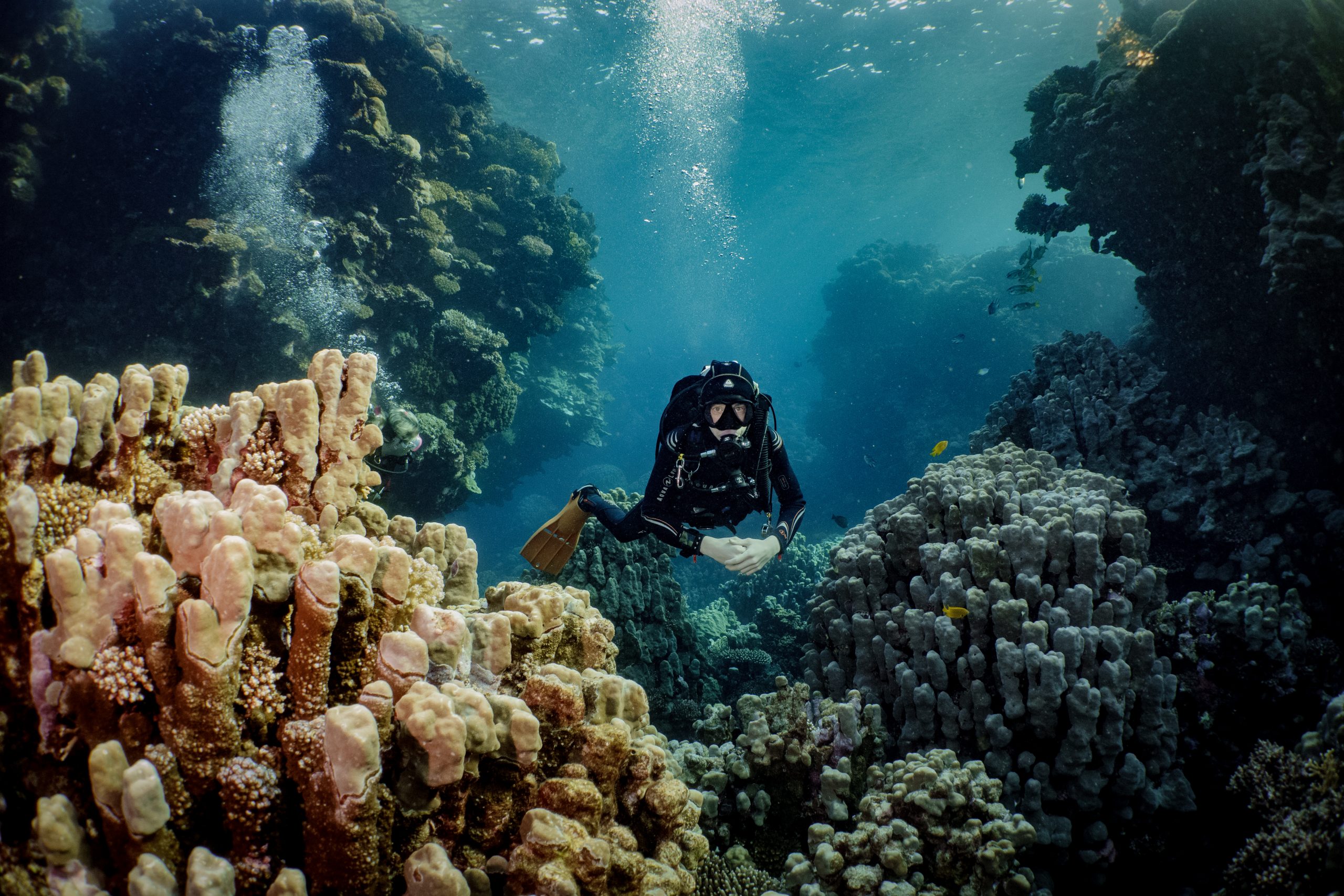 Diver swims between vibrant coral reefs underwater, surrounded by marine life in clear blue ocean.