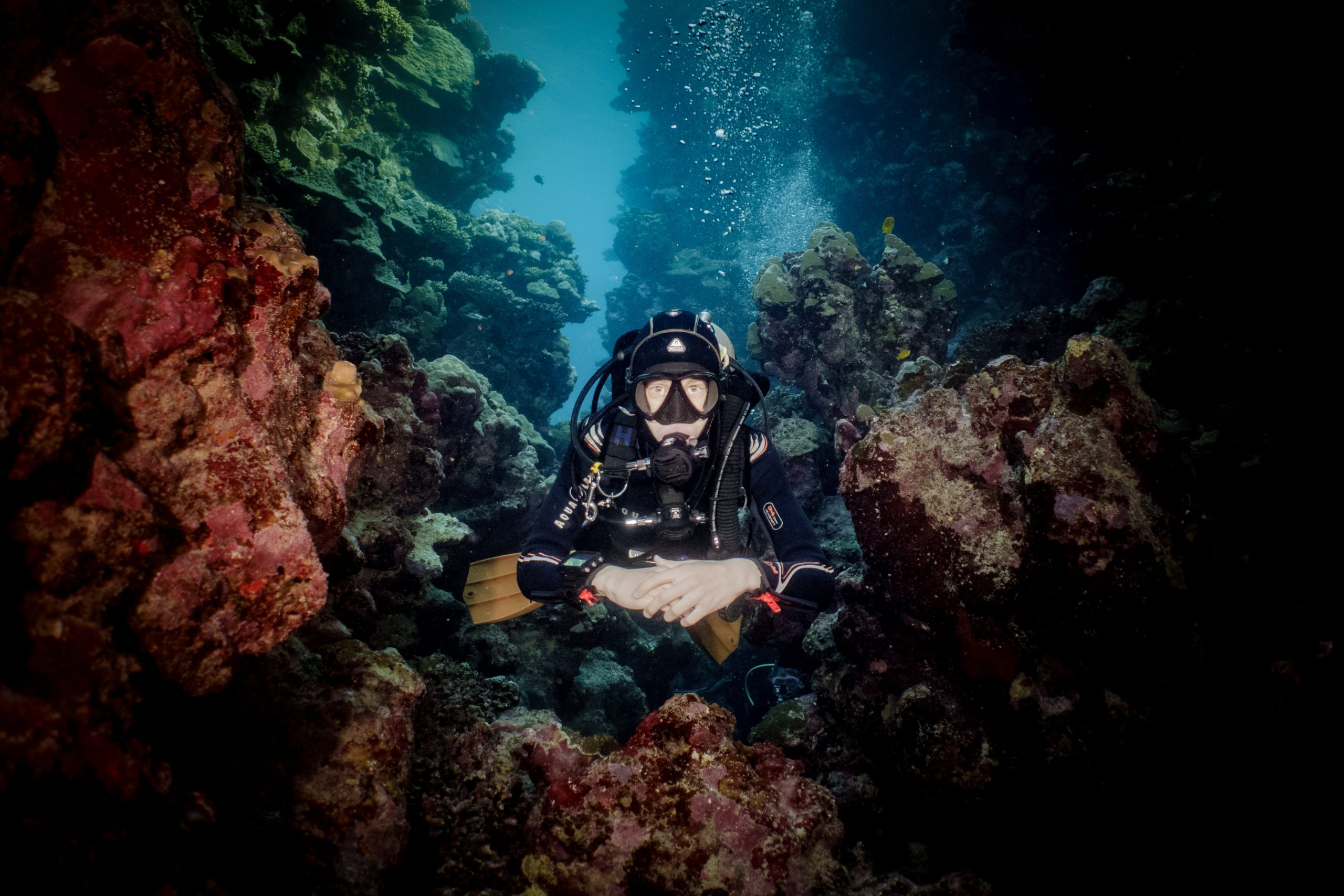 Scuba diver exploring colorful coral reef underwater, surrounded by vibrant marine life and bubbles.