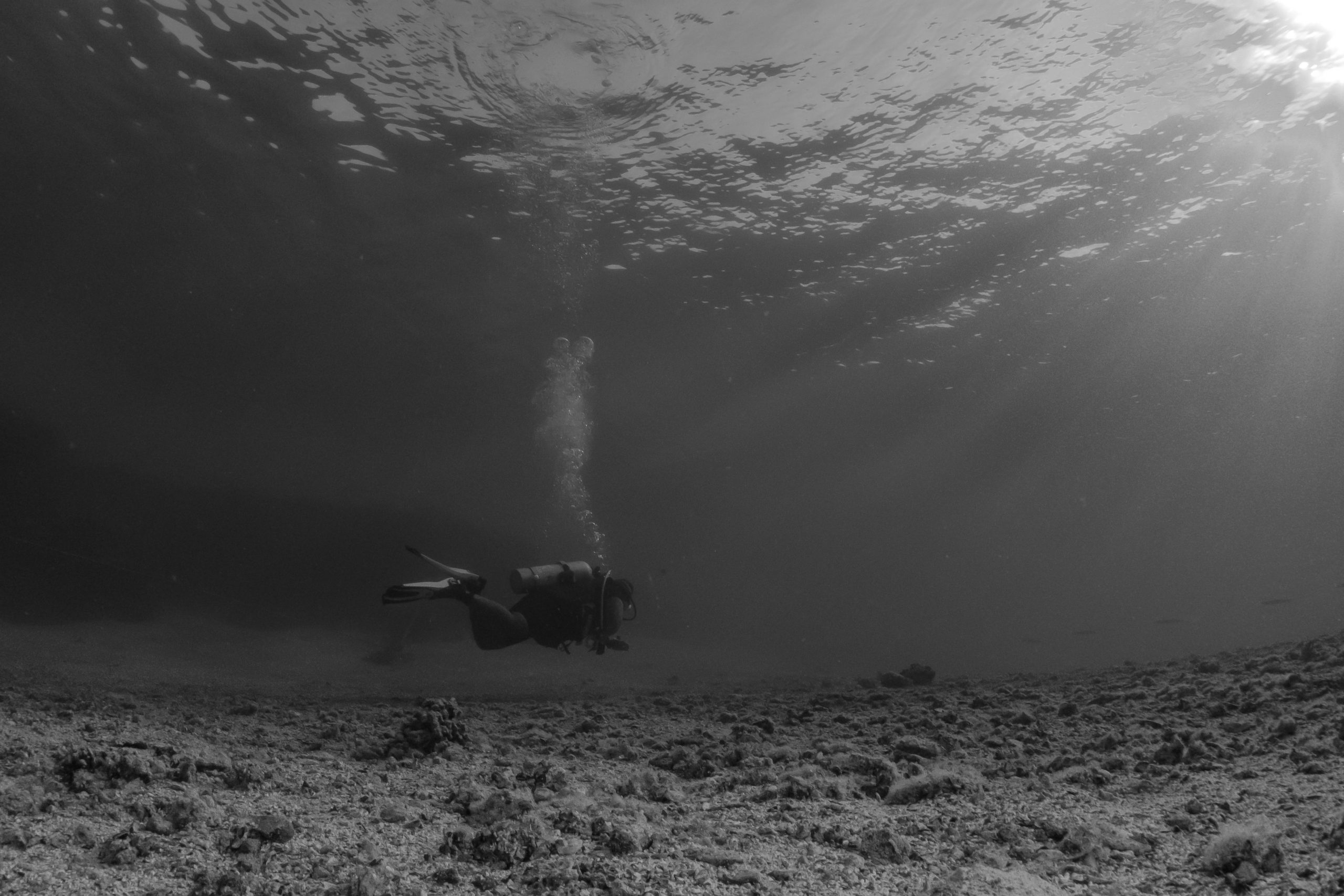 Diver exploring the ocean floor with sunlight filtering through water; bubbles rising to the surface.