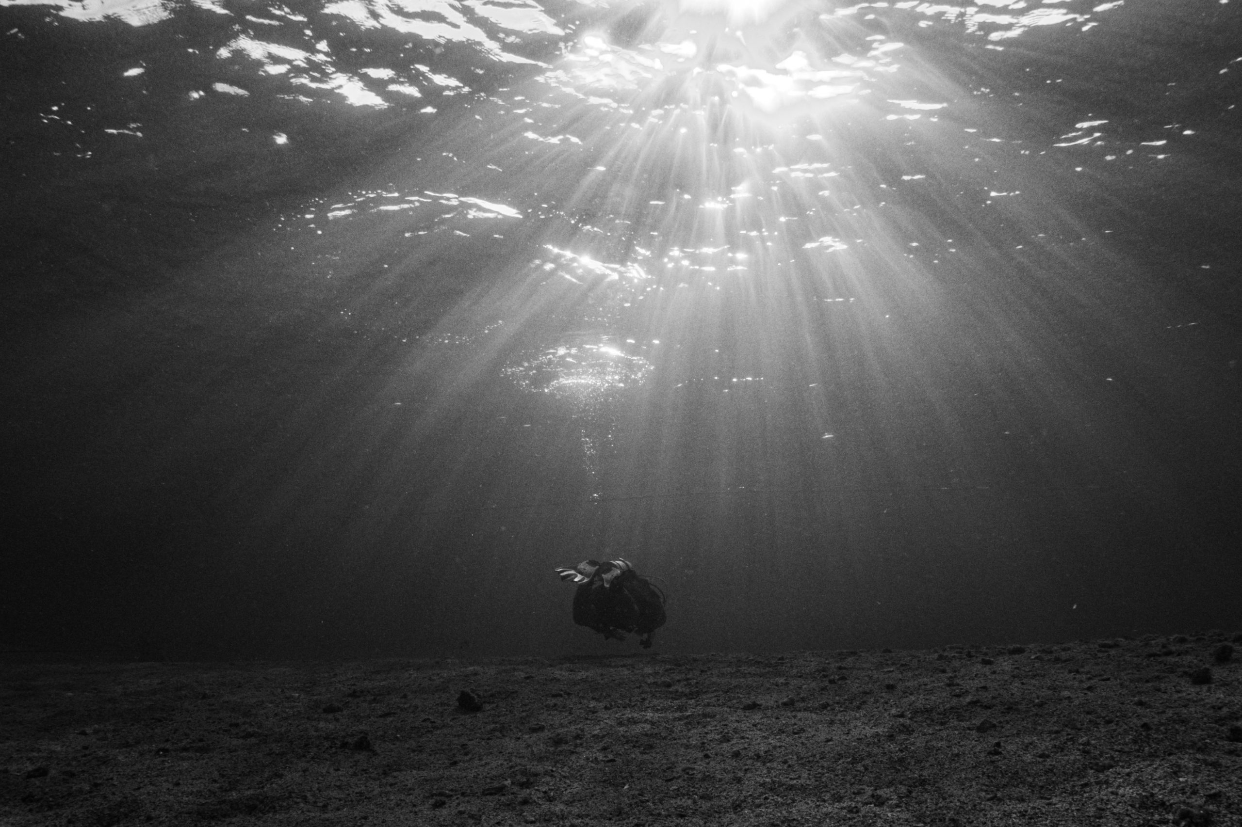 Underwater diver with sunrays penetrating the surface, illuminating the ocean floor in a black and white scene.