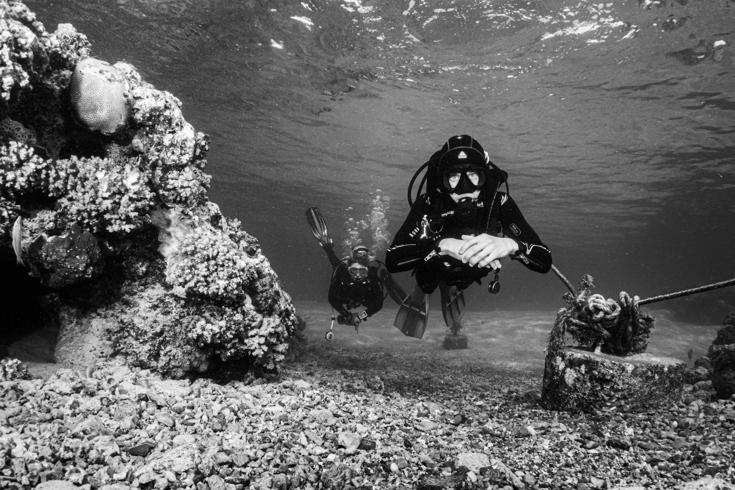Two scuba divers exploring underwater coral reef, wearing diving gear and wetsuits in a black and white photo.