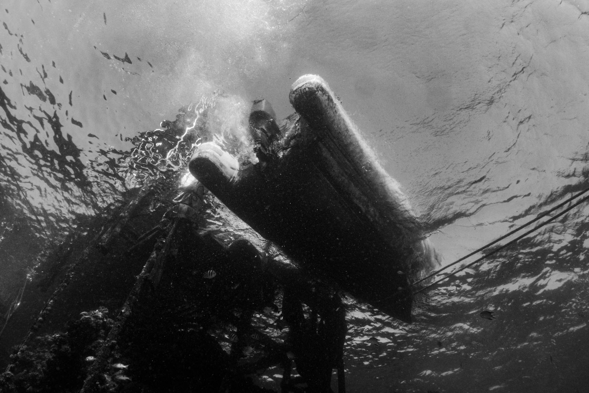 Underwater view of a rubber boat floating above divers and marine life, captured in monochrome.