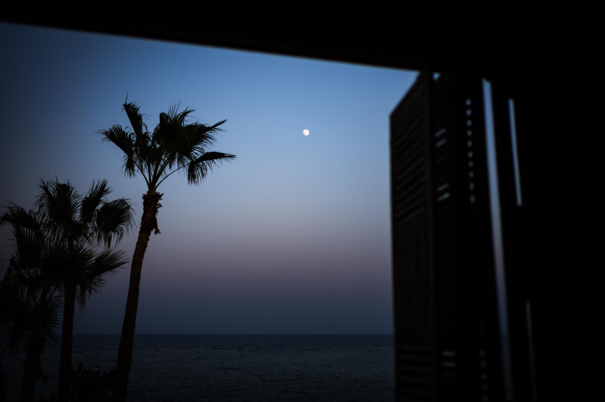 Moonlit ocean view with palm trees framed by silhouetted open door at dusk.