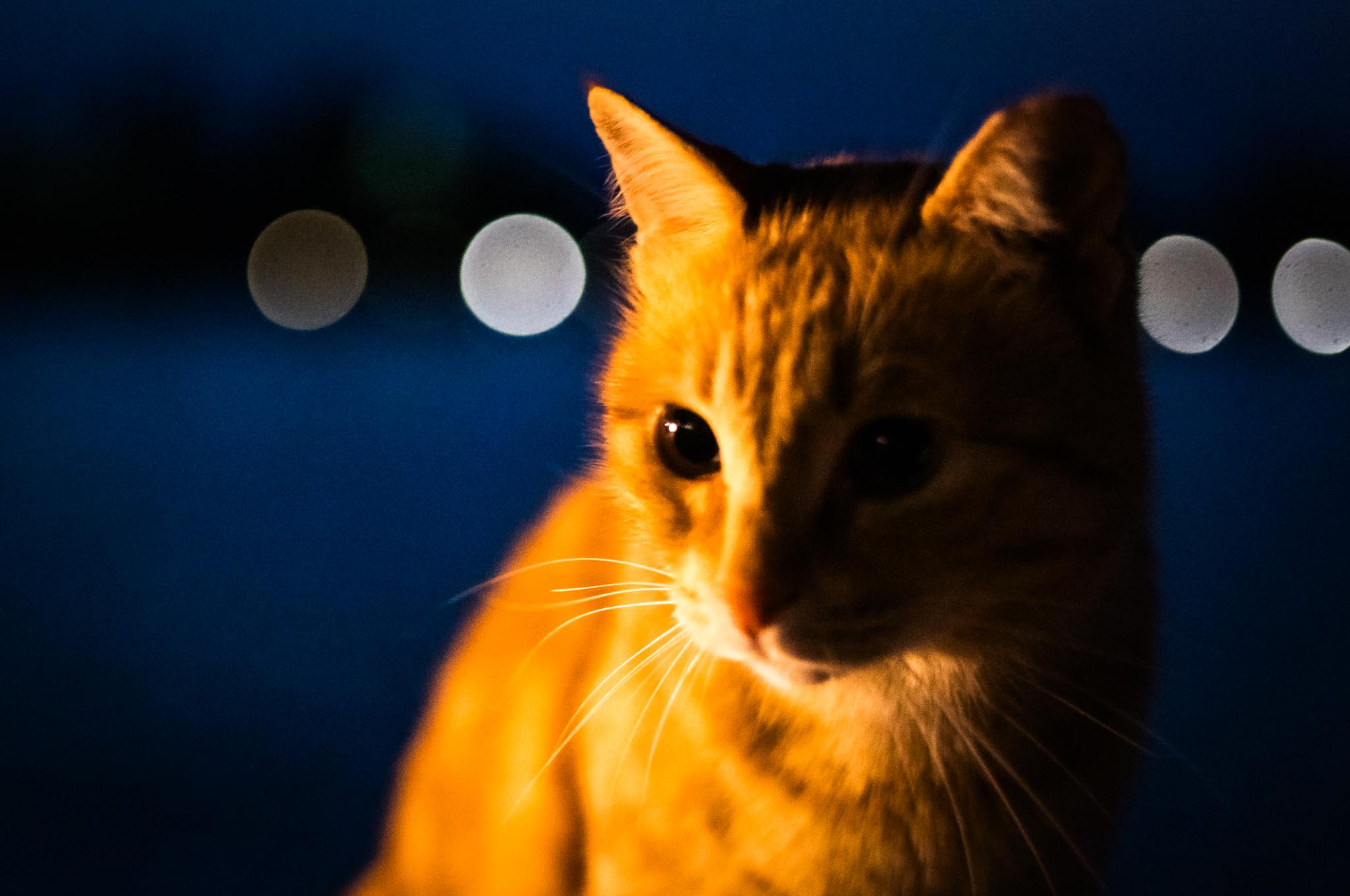 10 Days in El Quseir – Diving, Relaxing and Family Time