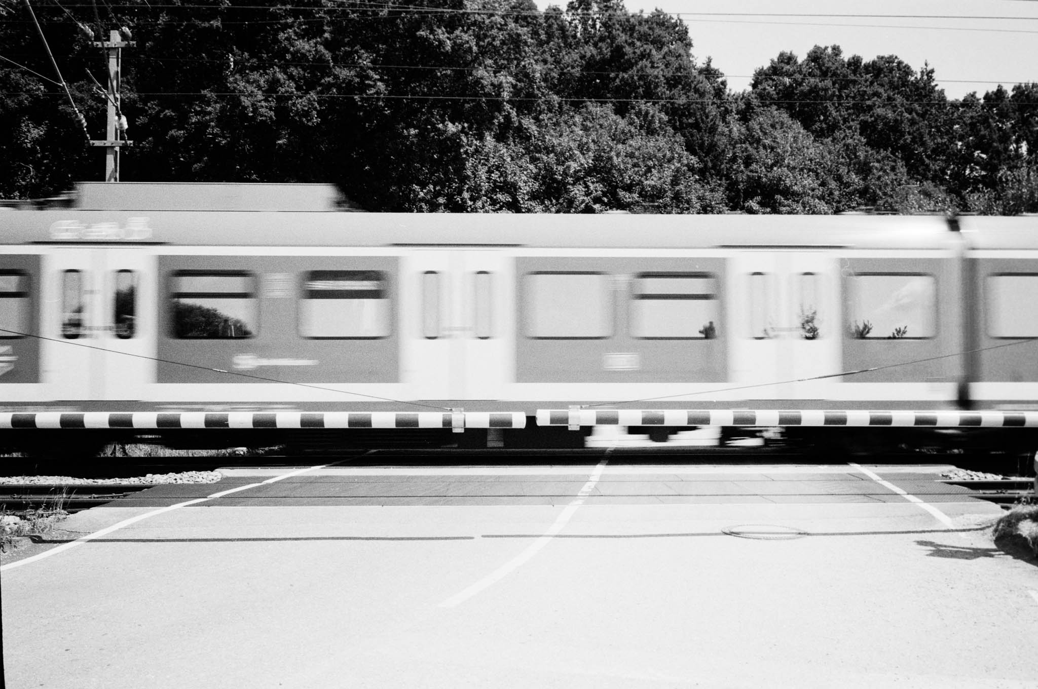 Blurry train passing through a crossing with trees in the background, creating a sense of speed and motion in black and white.