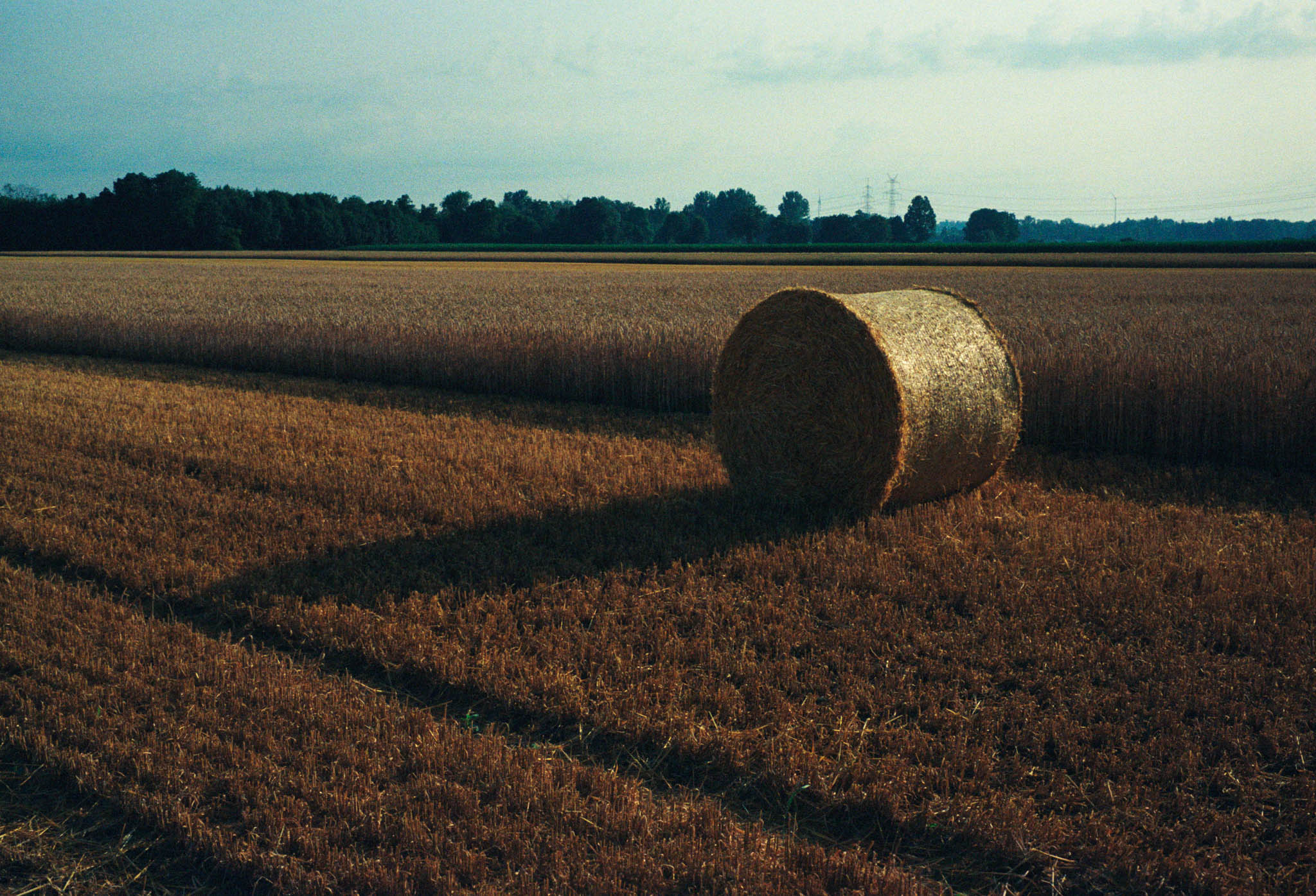 Golden hay bale in a harvested field under a cloudy sky, bordered by a line of distant trees.