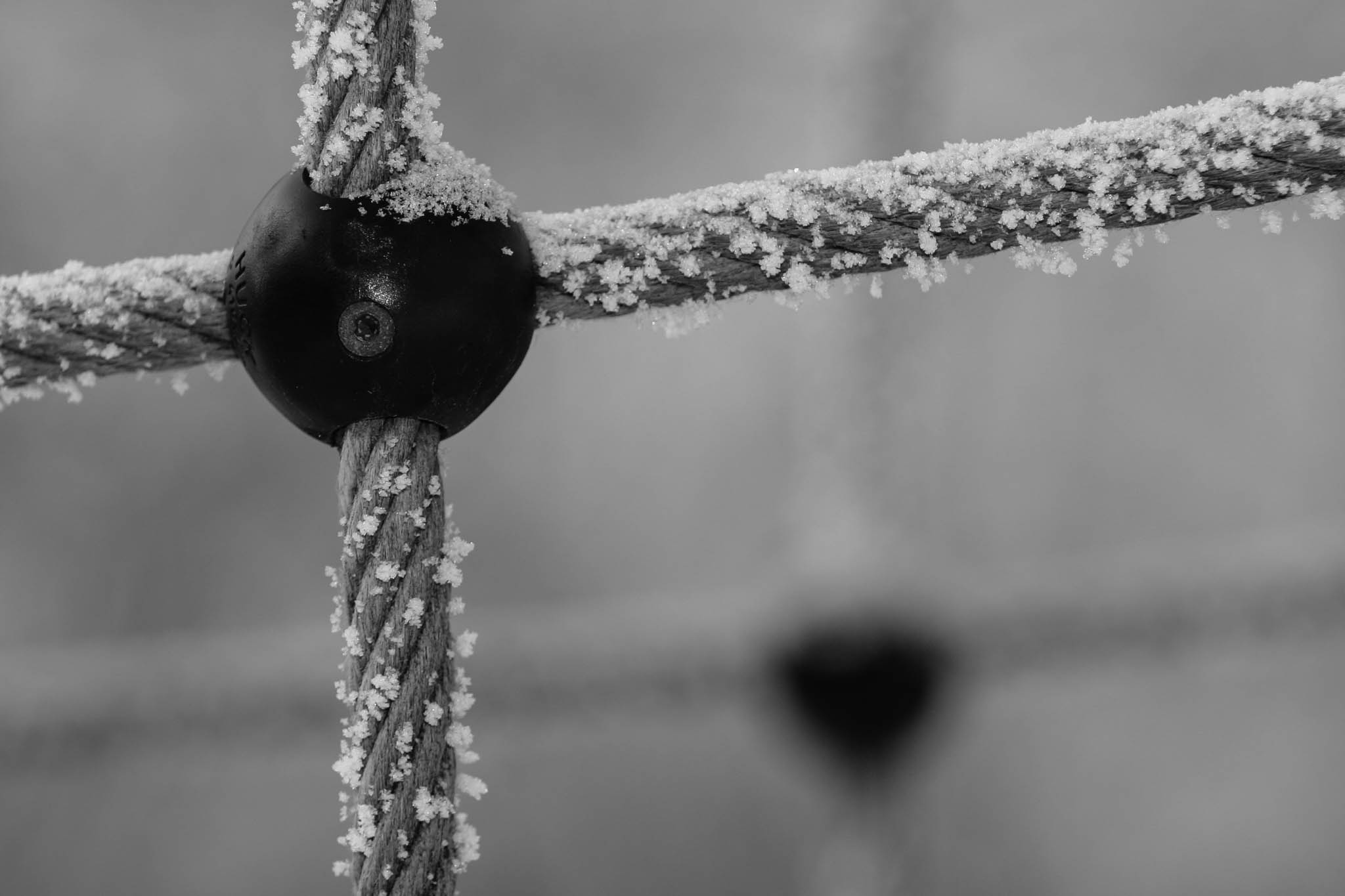 Frost-covered metal cables with a round connector in a close-up black and white photo.