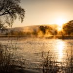 Sunrise over a misty river, with silhouettes of trees and golden reflections on the water.