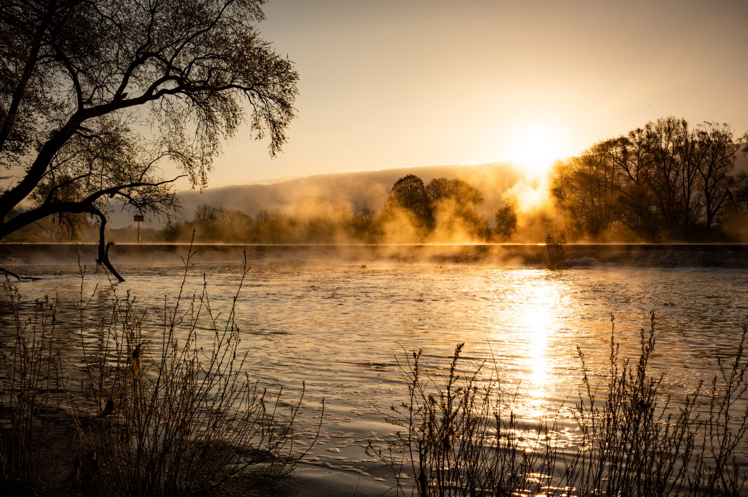 France & Italy Road Trip – From Burgundy to the Riviera and Back